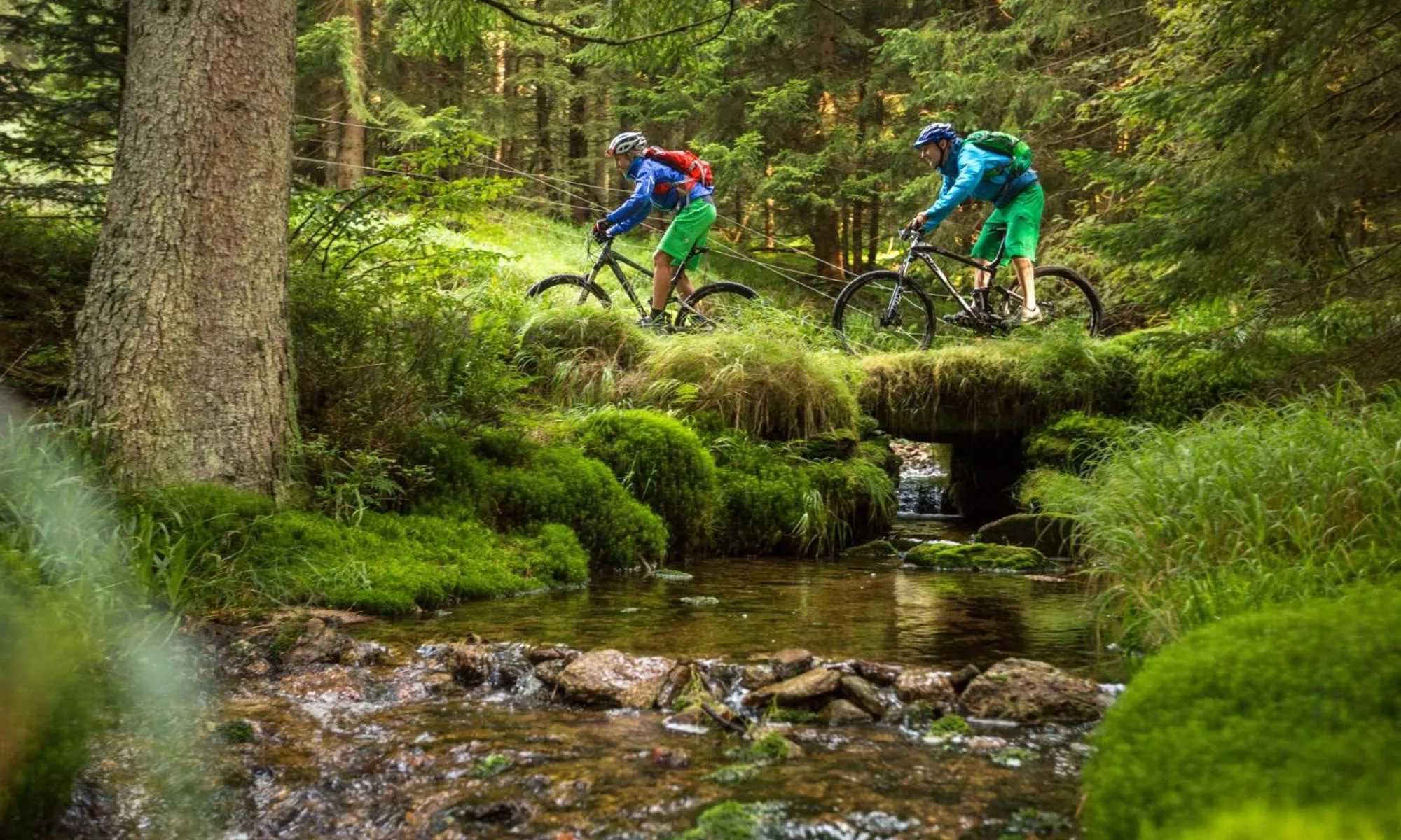 Cycling in Natur- & Wellnesshotel Brunner Hof