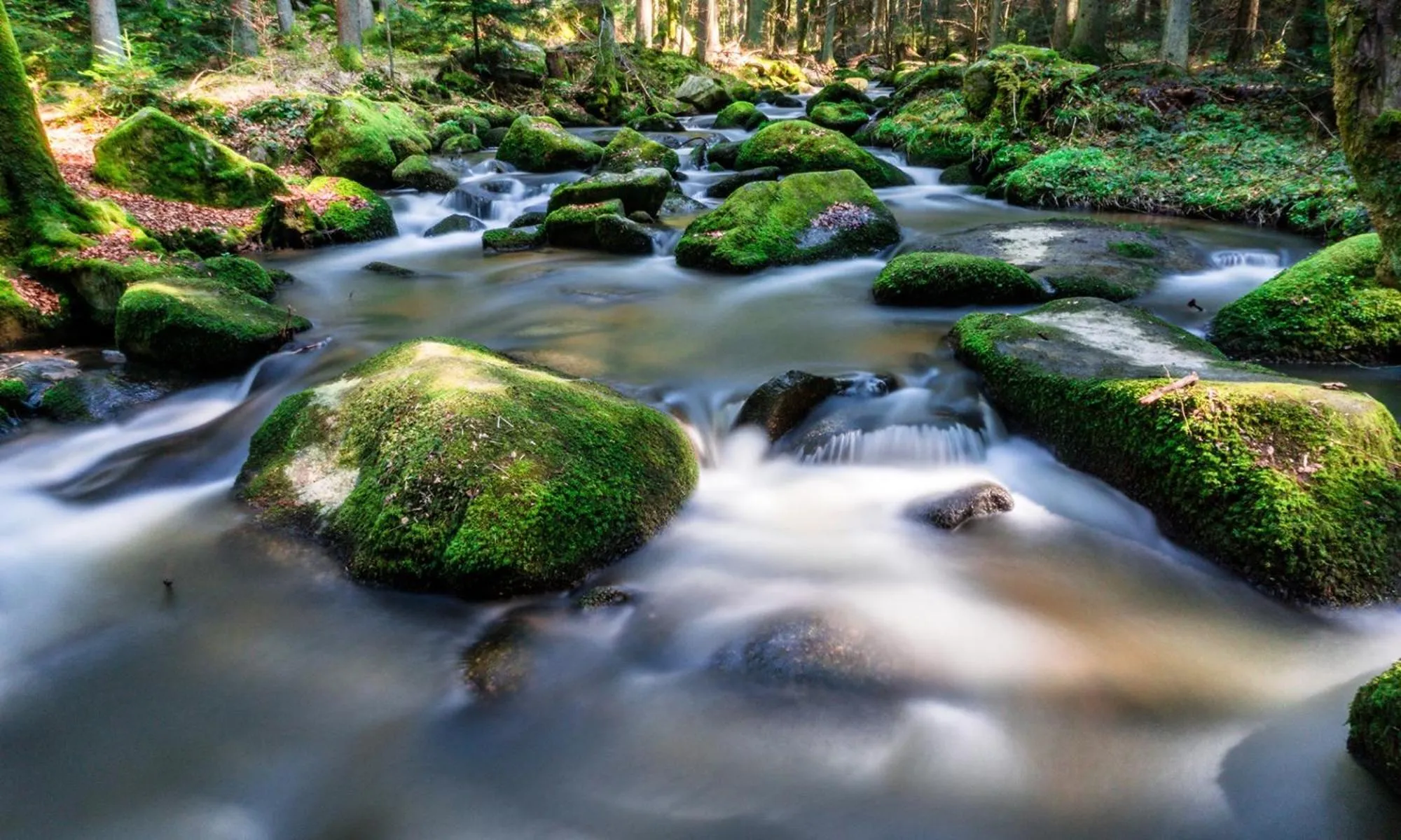 Area and facilities in Natur- & Wellnesshotel Brunner Hof