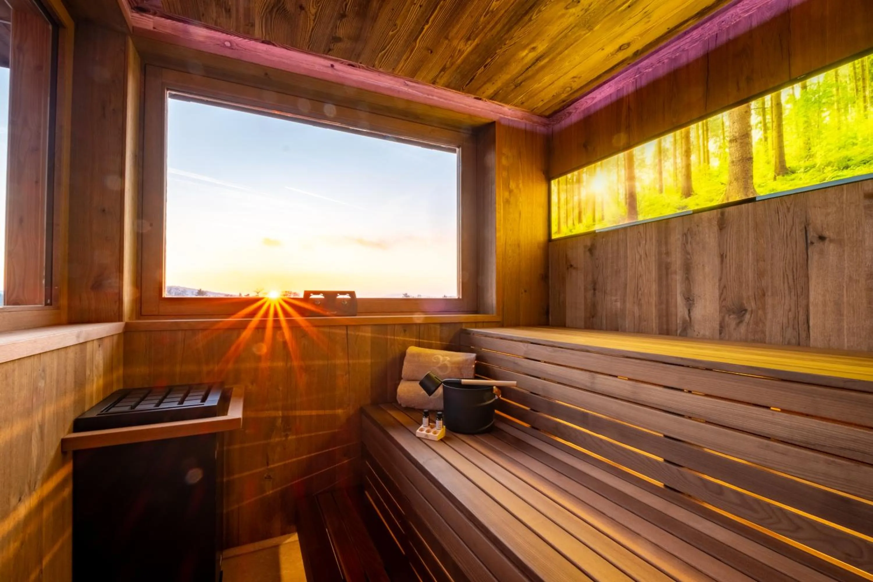 Sauna in Natur- & Wellnesshotel Brunner Hof
