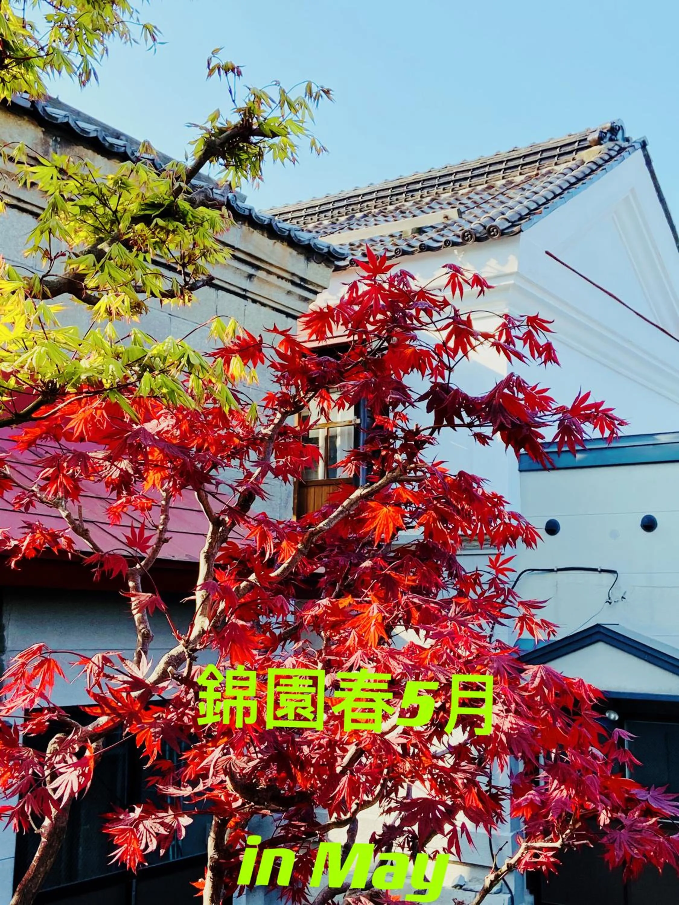 Property building in Nishikien inn