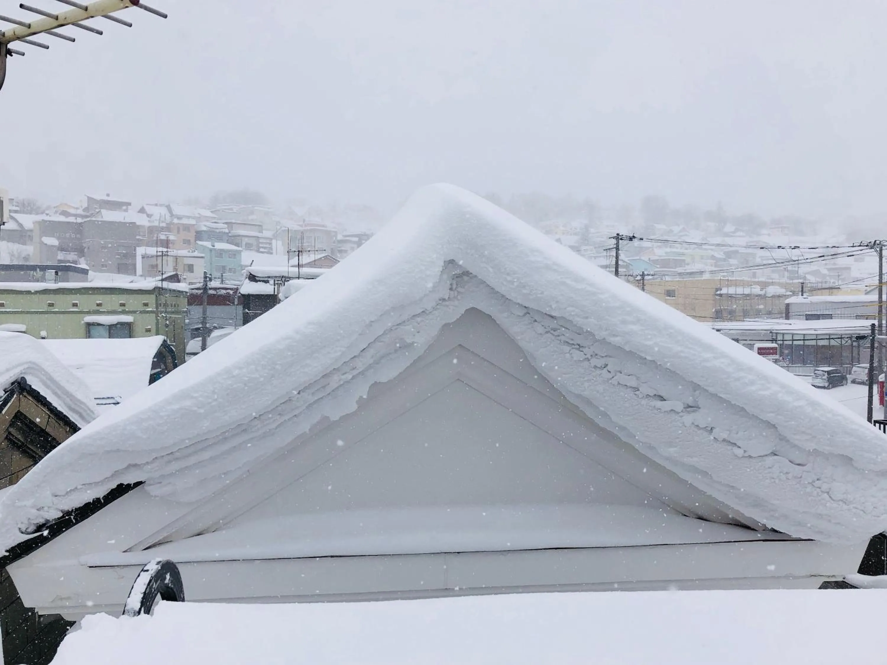 Garden view in Nishikien inn
