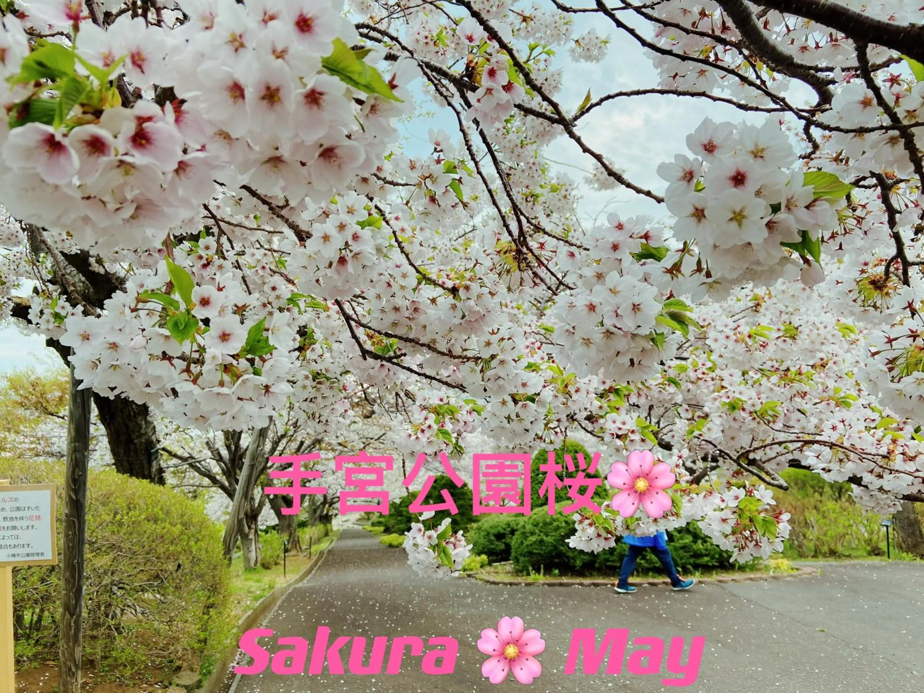 Spring in Nishikien inn