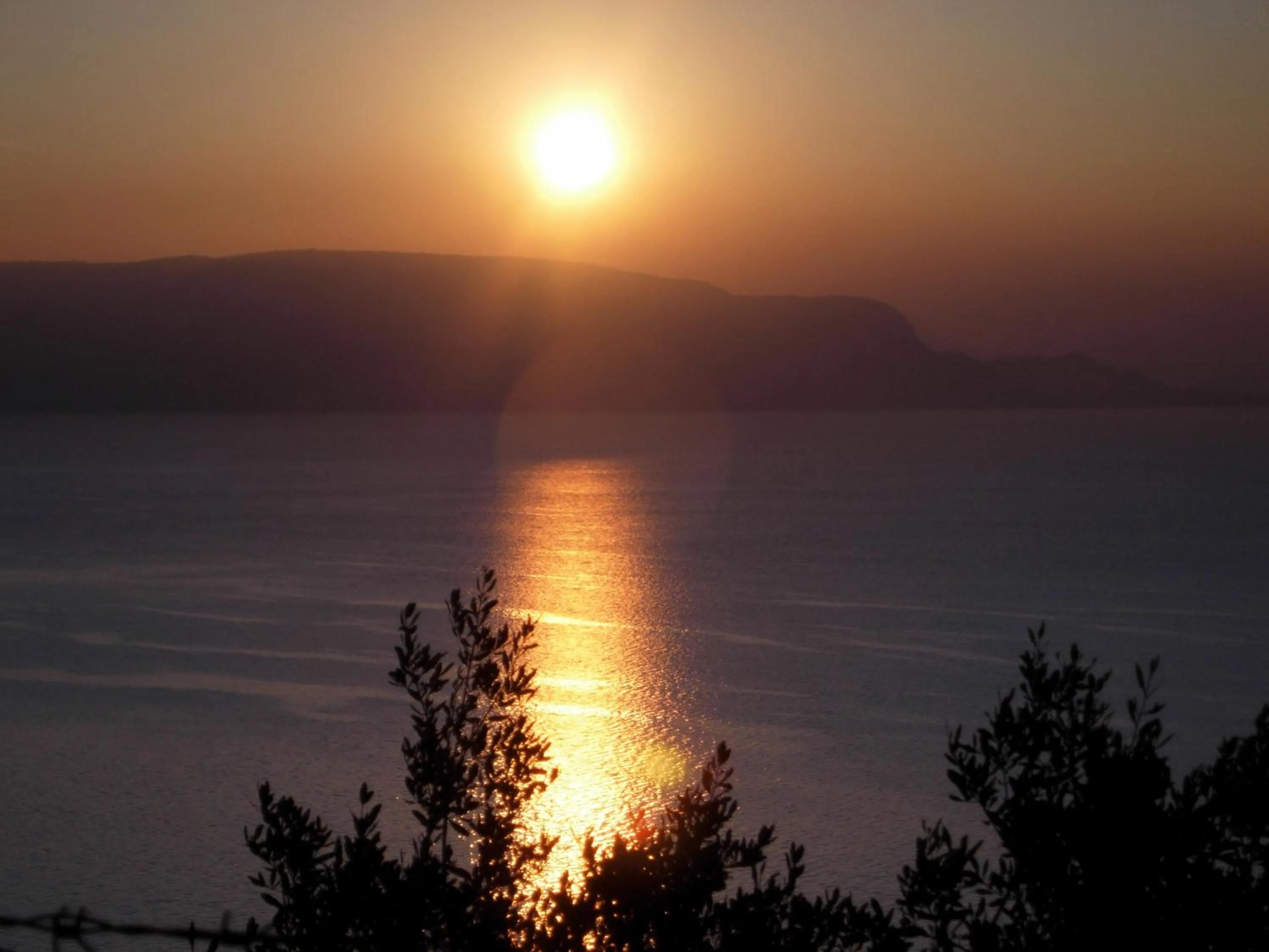 Natural landscape in La Villa Fasano