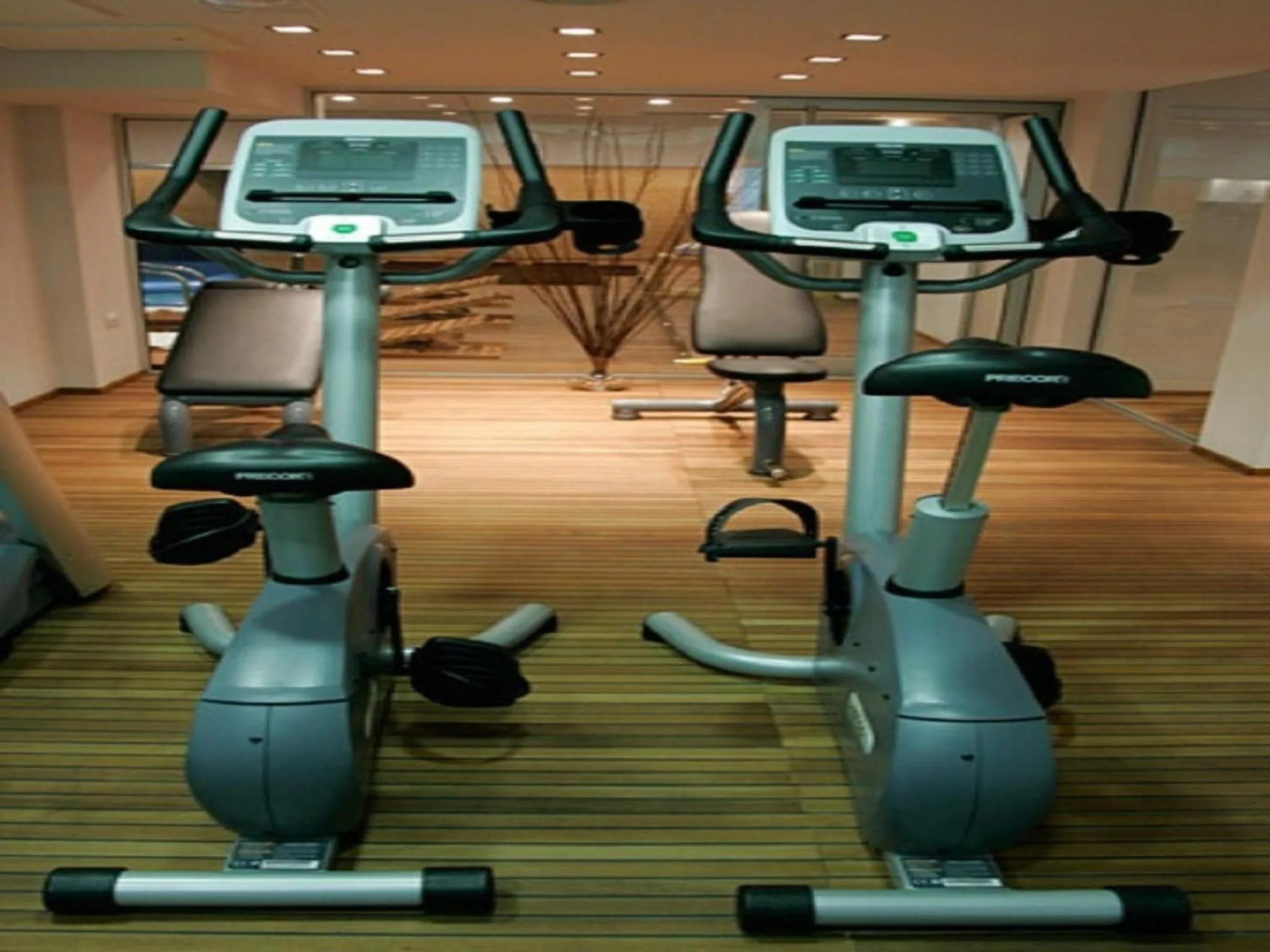 Fitness centre/facilities in The Lodge Hotel