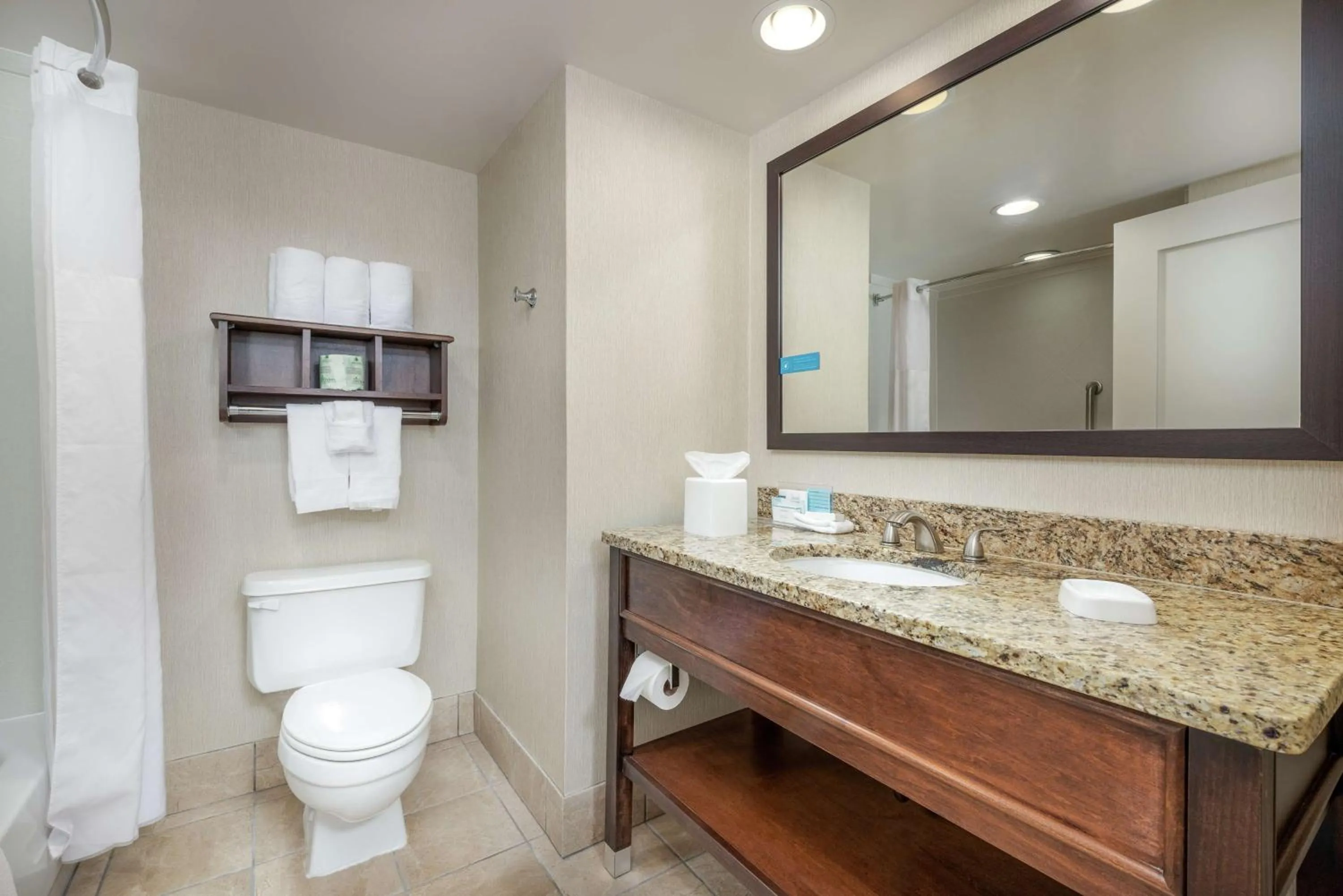 Bathroom in Hampton Inn Tuscaloosa - East