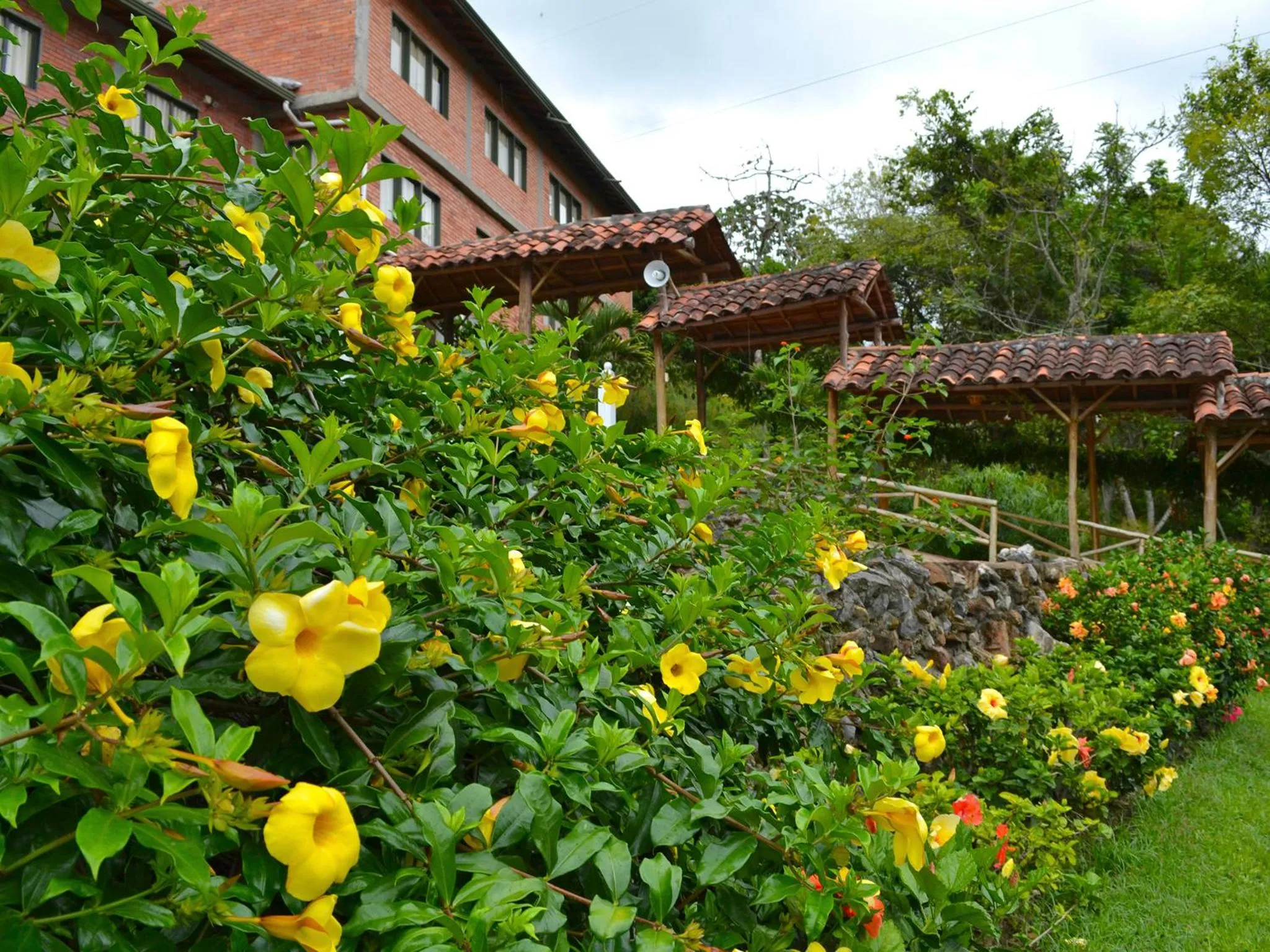 Garden in Hotel Campestre UMPALÁ