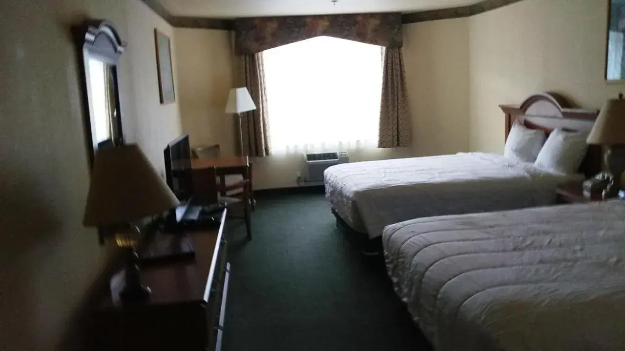 Bed in Palace Inn & Suites Bed in Palace Inn & Suites