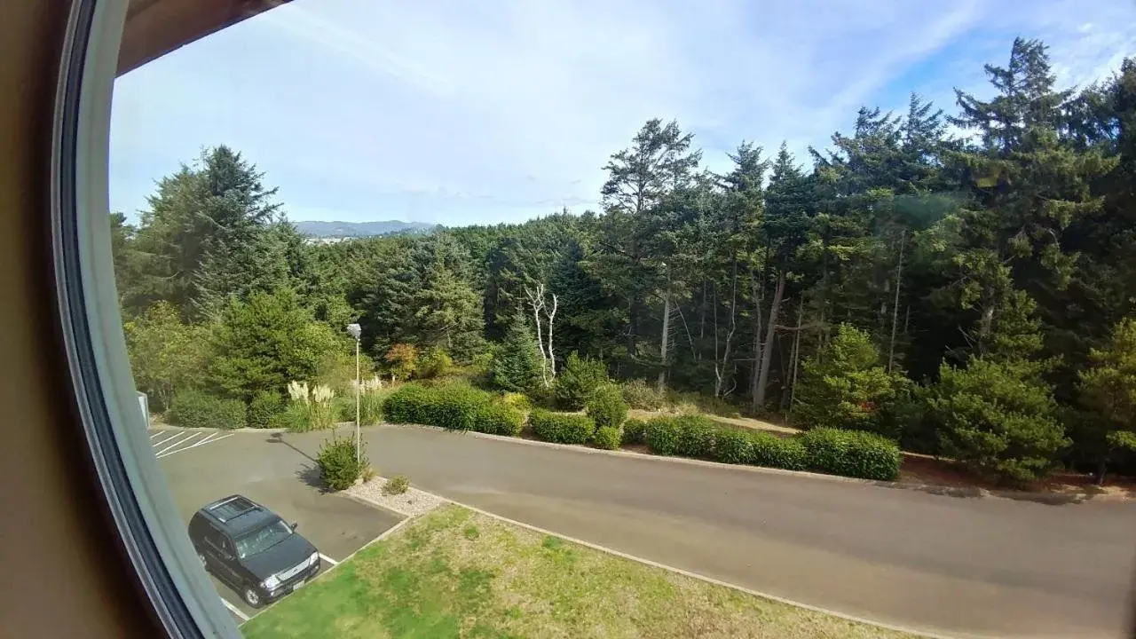 View (from property/room) in Palace Inn & Suites View (from property/room) in Palace Inn & Suites