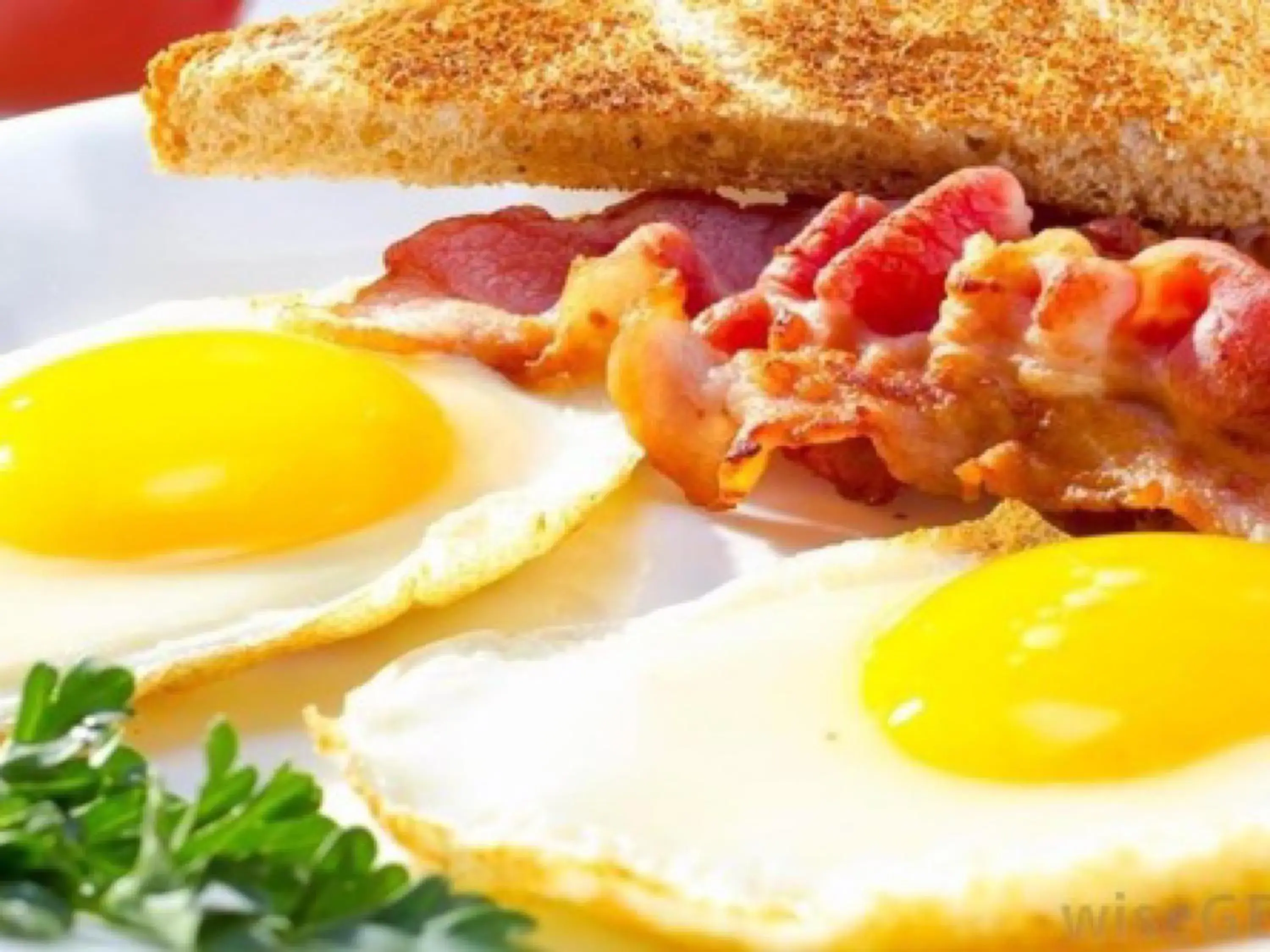 Breakfast in The Cliff Hostel, M'Pay Bay Breakfast in The Cliff Hostel, M'Pay Bay