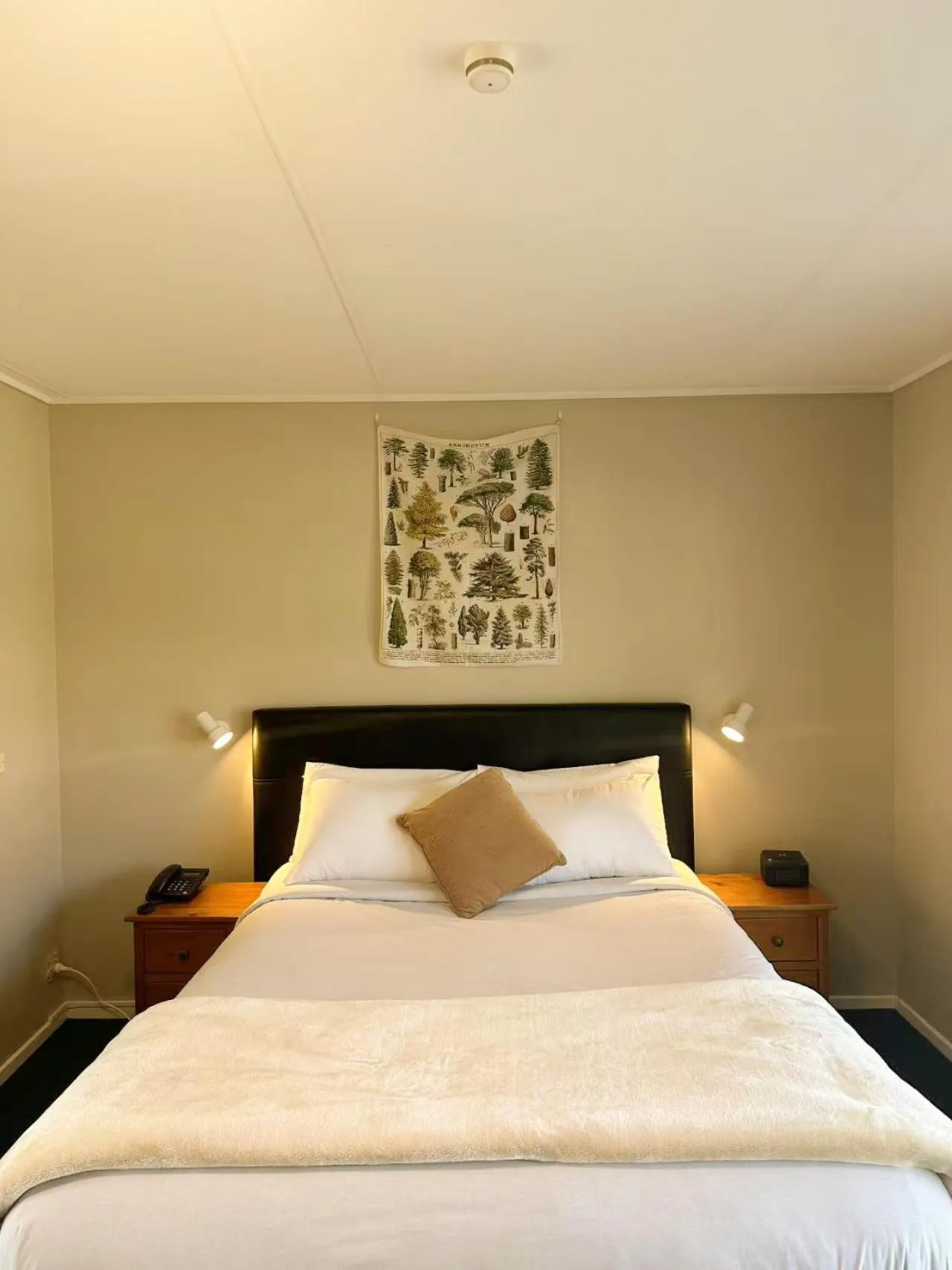 Bed in Castles Motel & Driftwood Motel