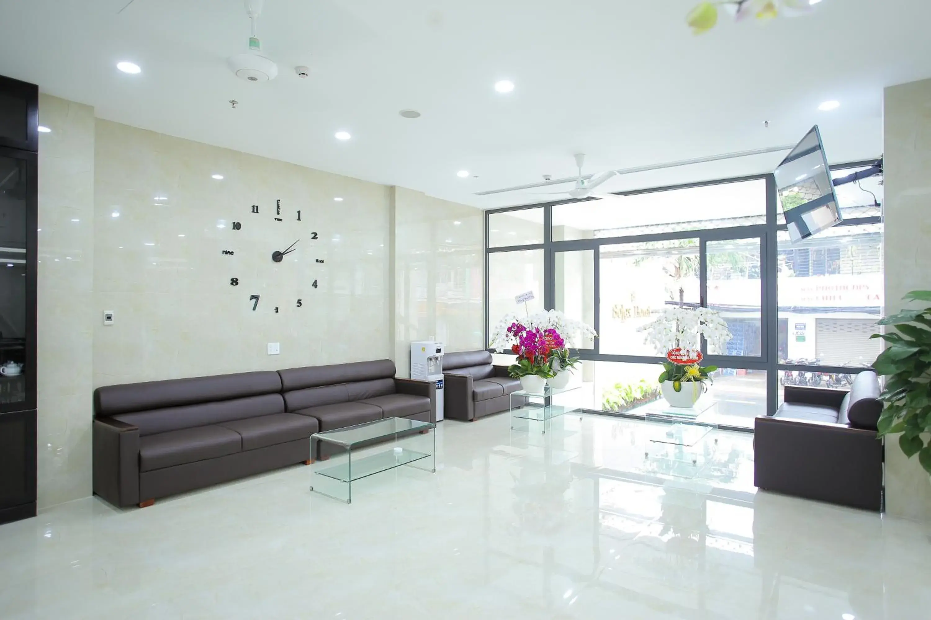 SoLex Hotel SoLex Hotel