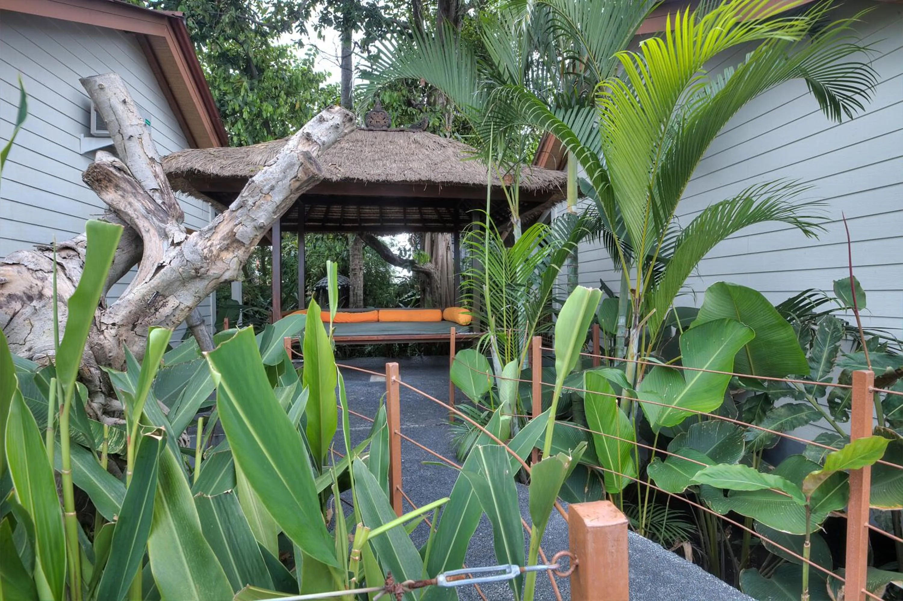 Garden in The Studio