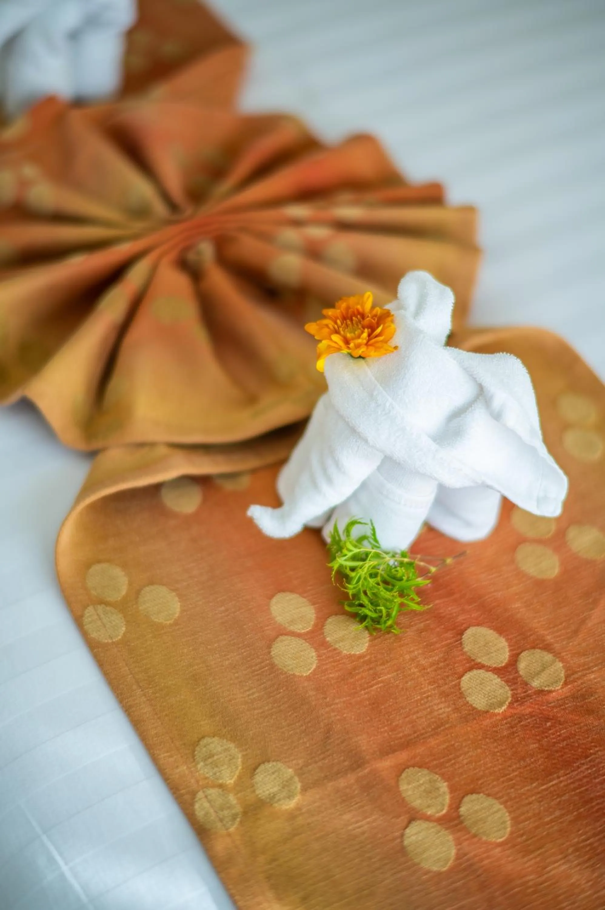 Decorative detail in The Lantern Resorts Patong - SHA Extra Plus