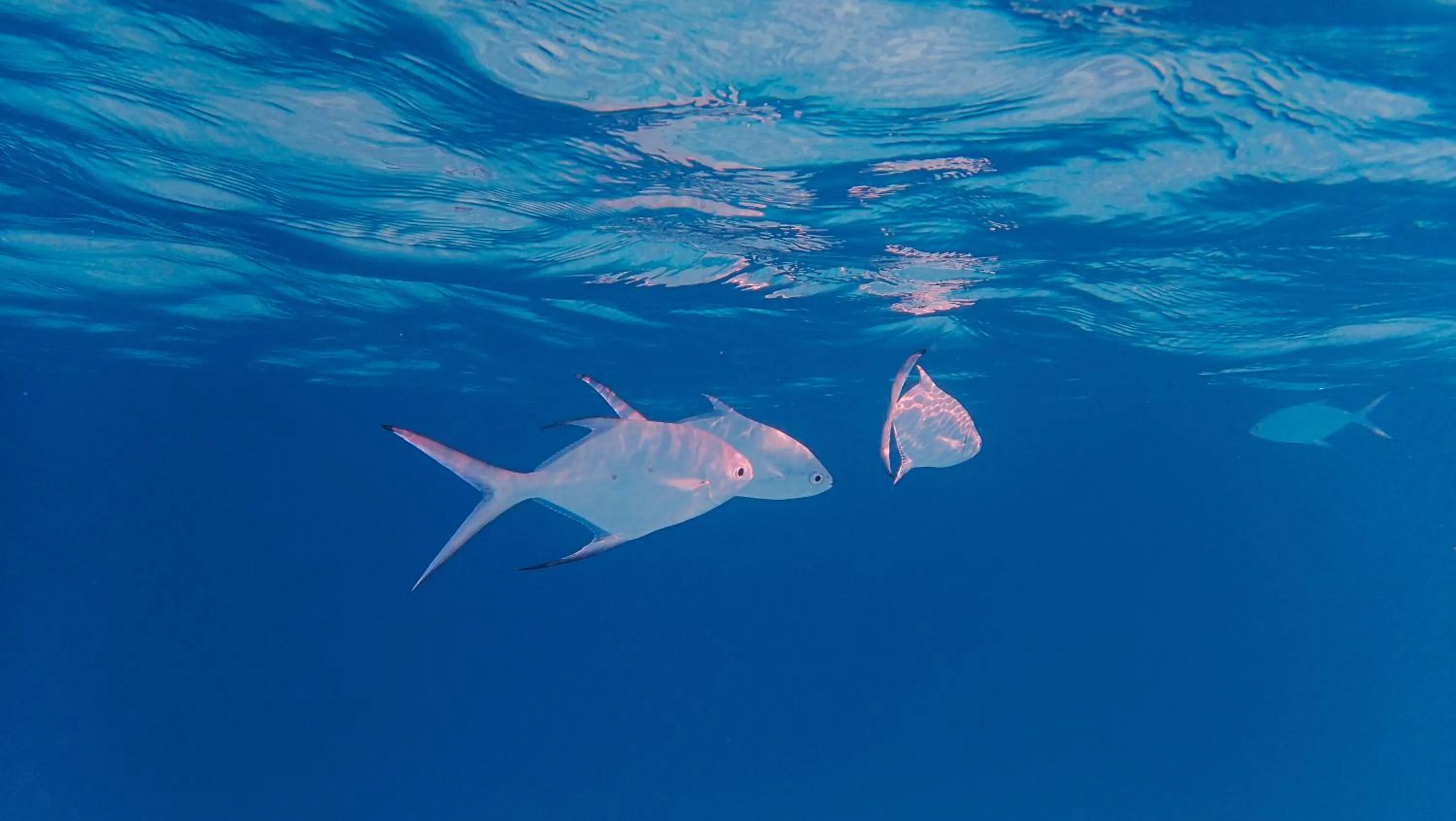 Aqua park in Makunudu Island- An Intimate Hideaway