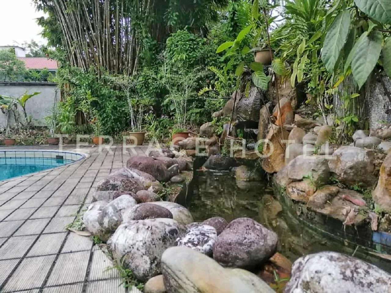 Natural landscape in Terrace Hotel