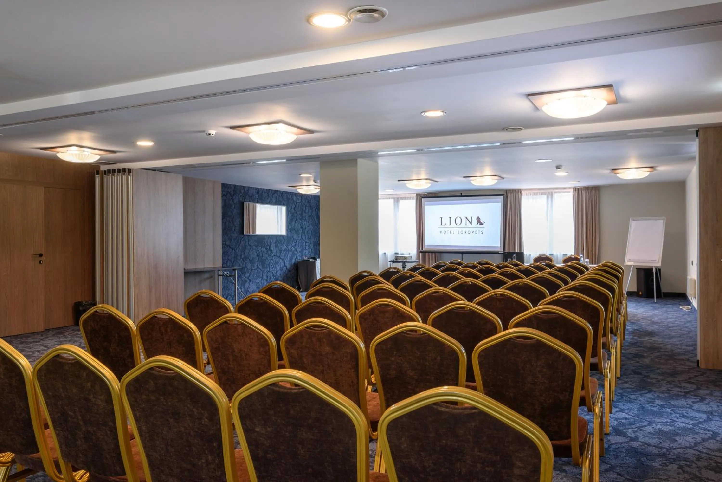 Meeting/conference room in Lion Hotel Borovets