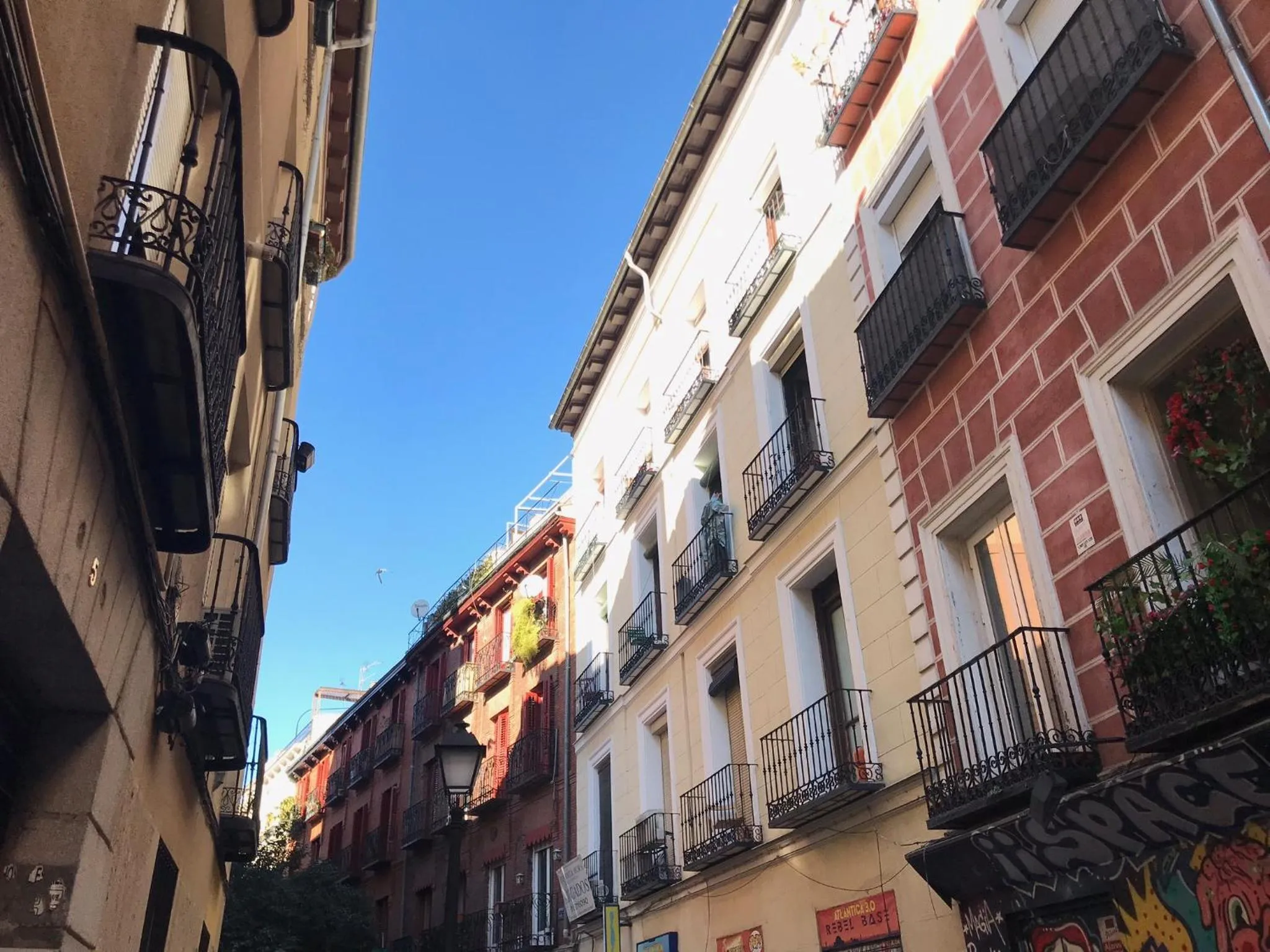 Property building in Pensión Estrella