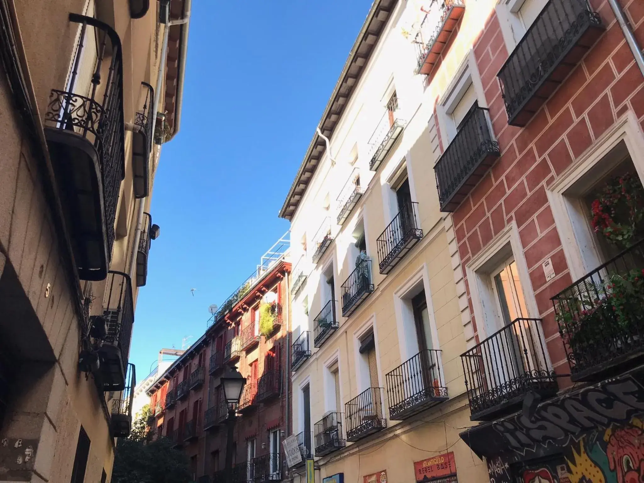 Property building in Pensión Estrella Property building in Pensión Estrella