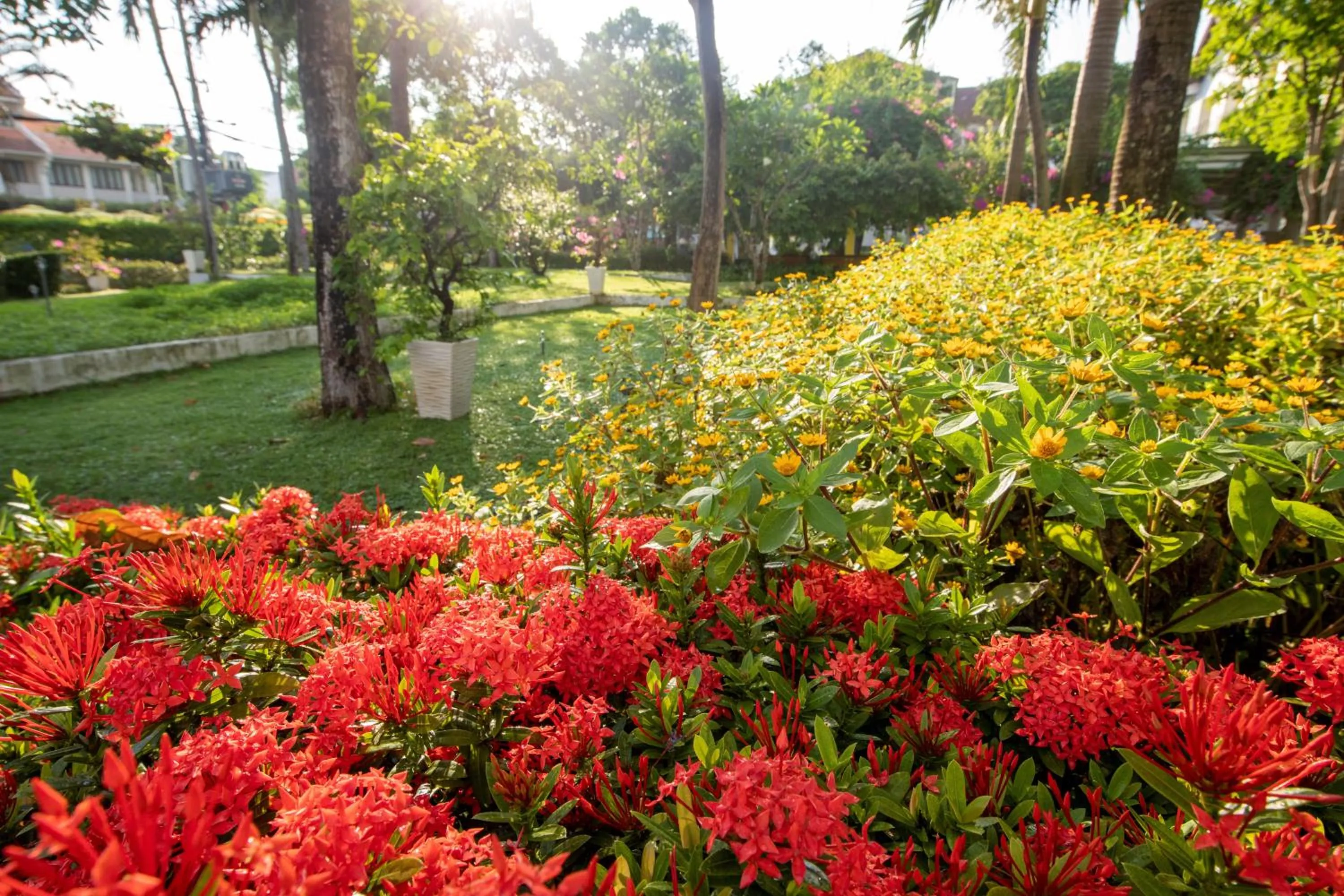 Garden in ÊMM Hotel Hoi An