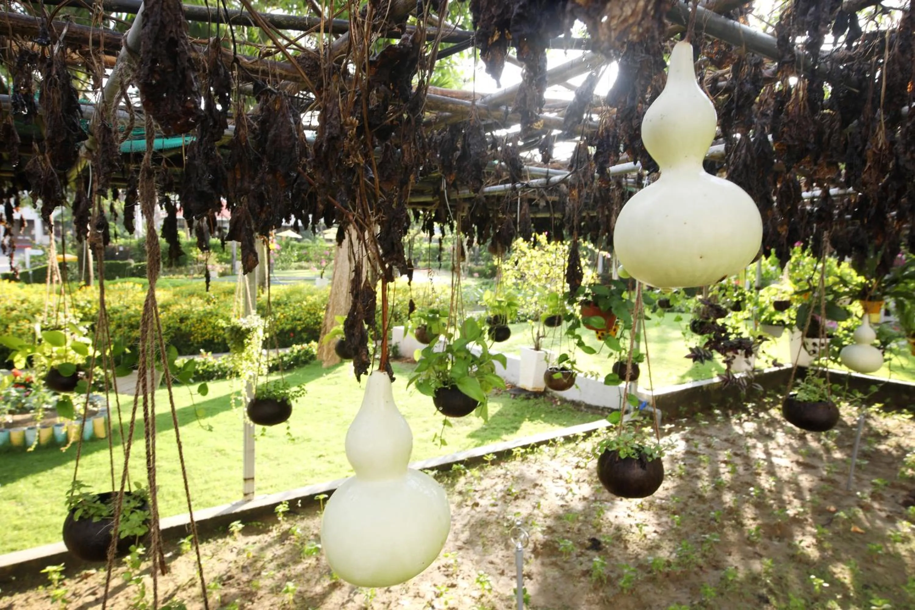 Garden in ÊMM Hotel Hoi An