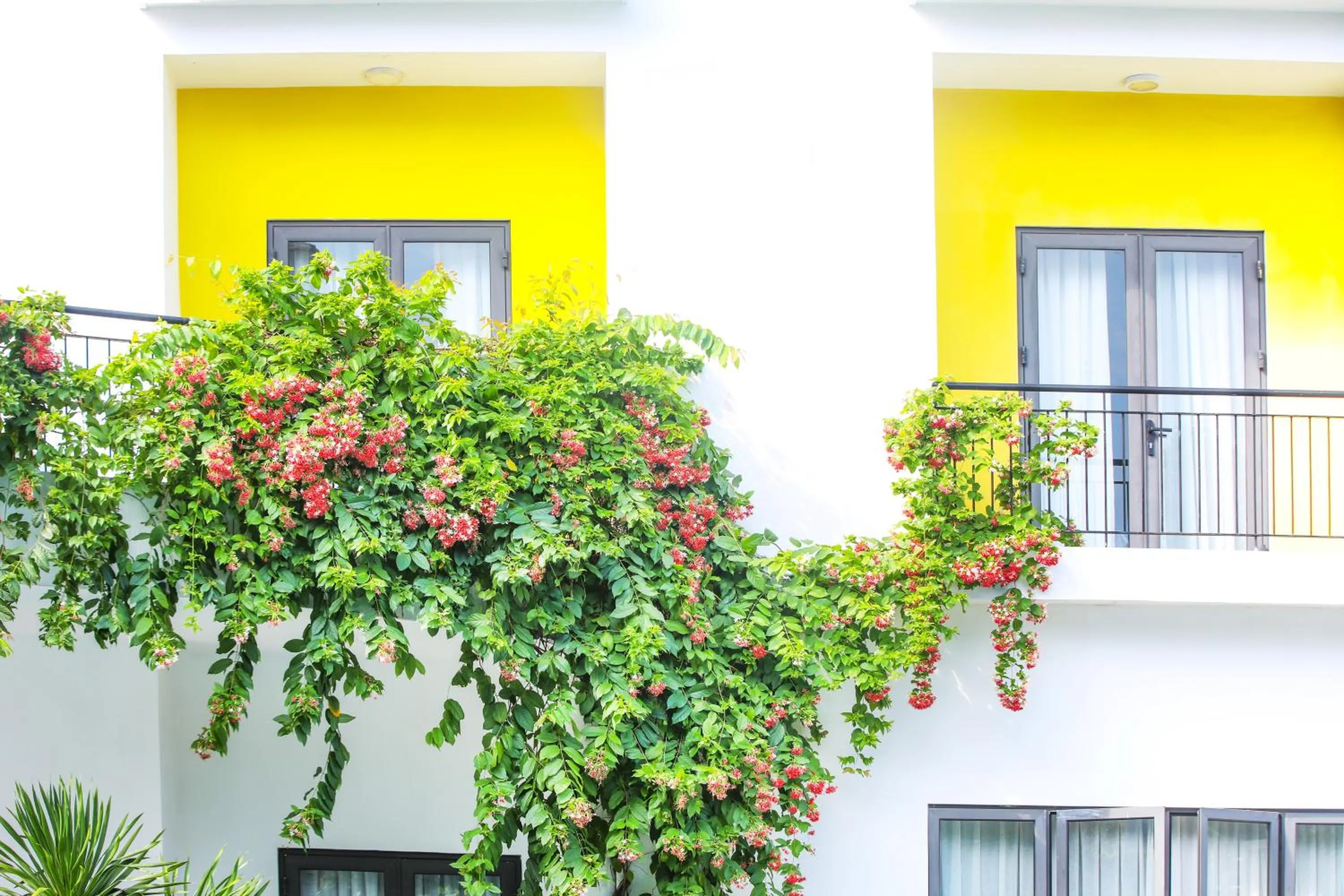 View (from property/room) in ÊMM Hotel Hoi An