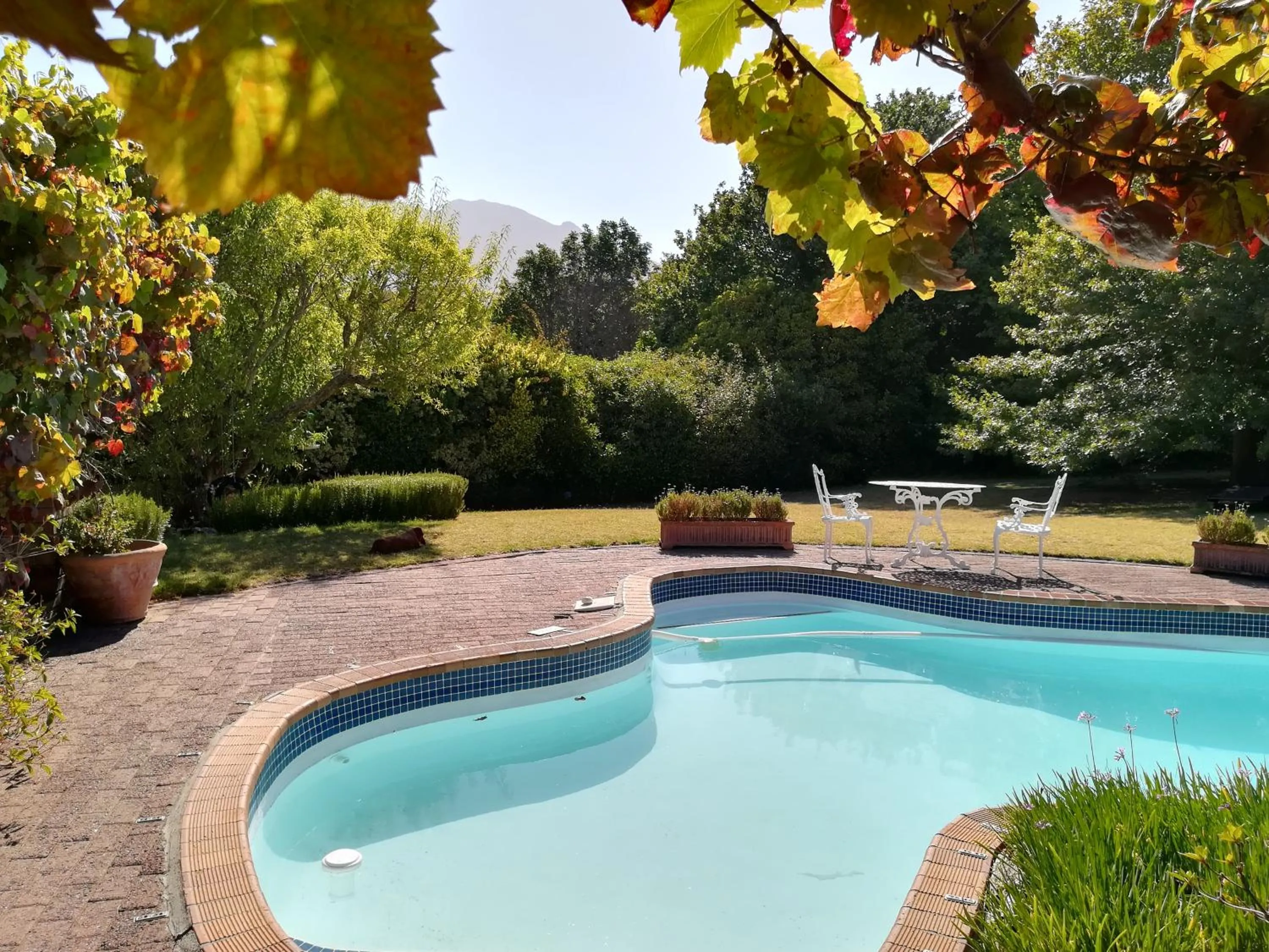 Le Petit Vignoble