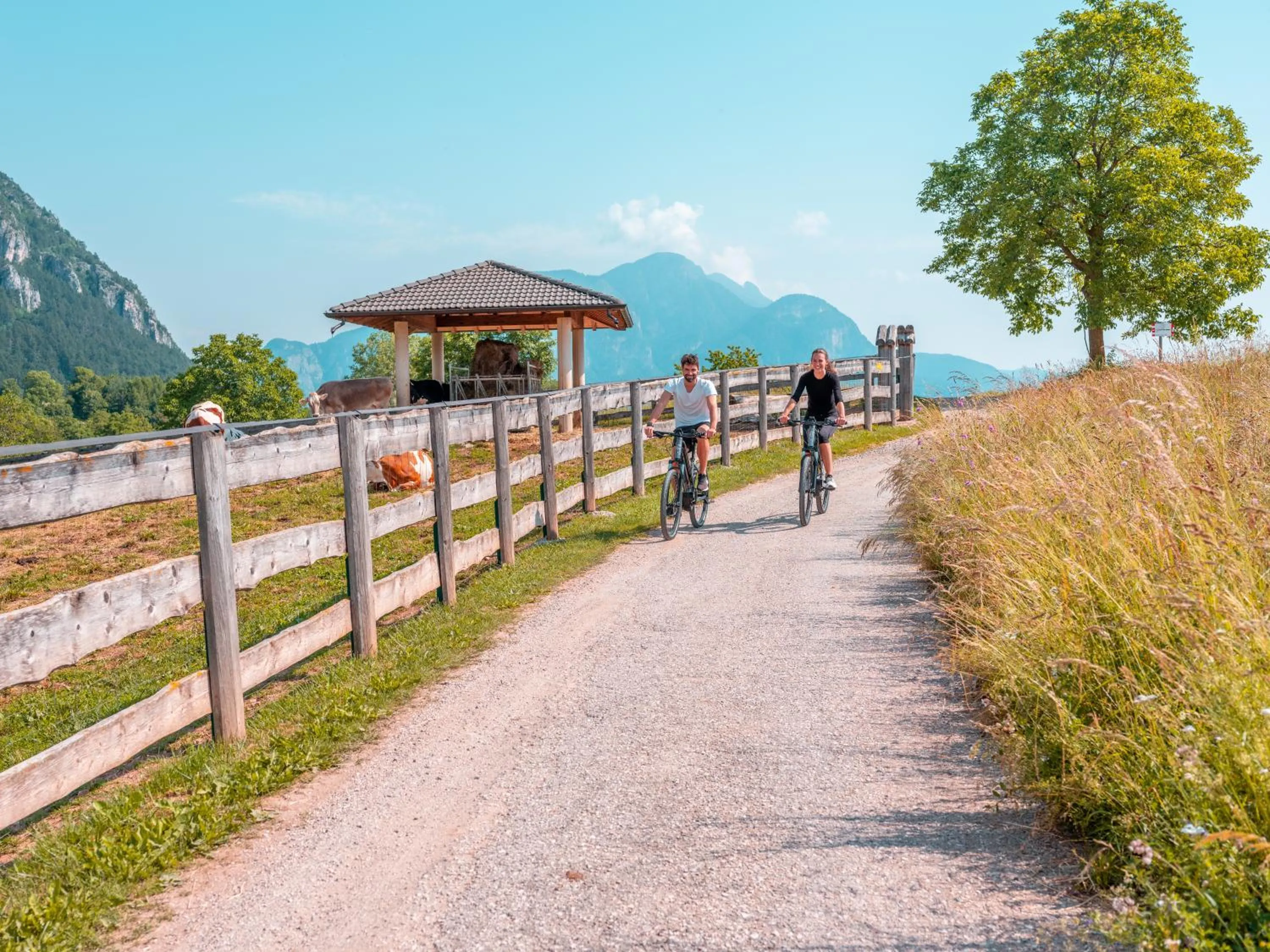 Spring in SOLEA DOLOMITI Boutique Hotel