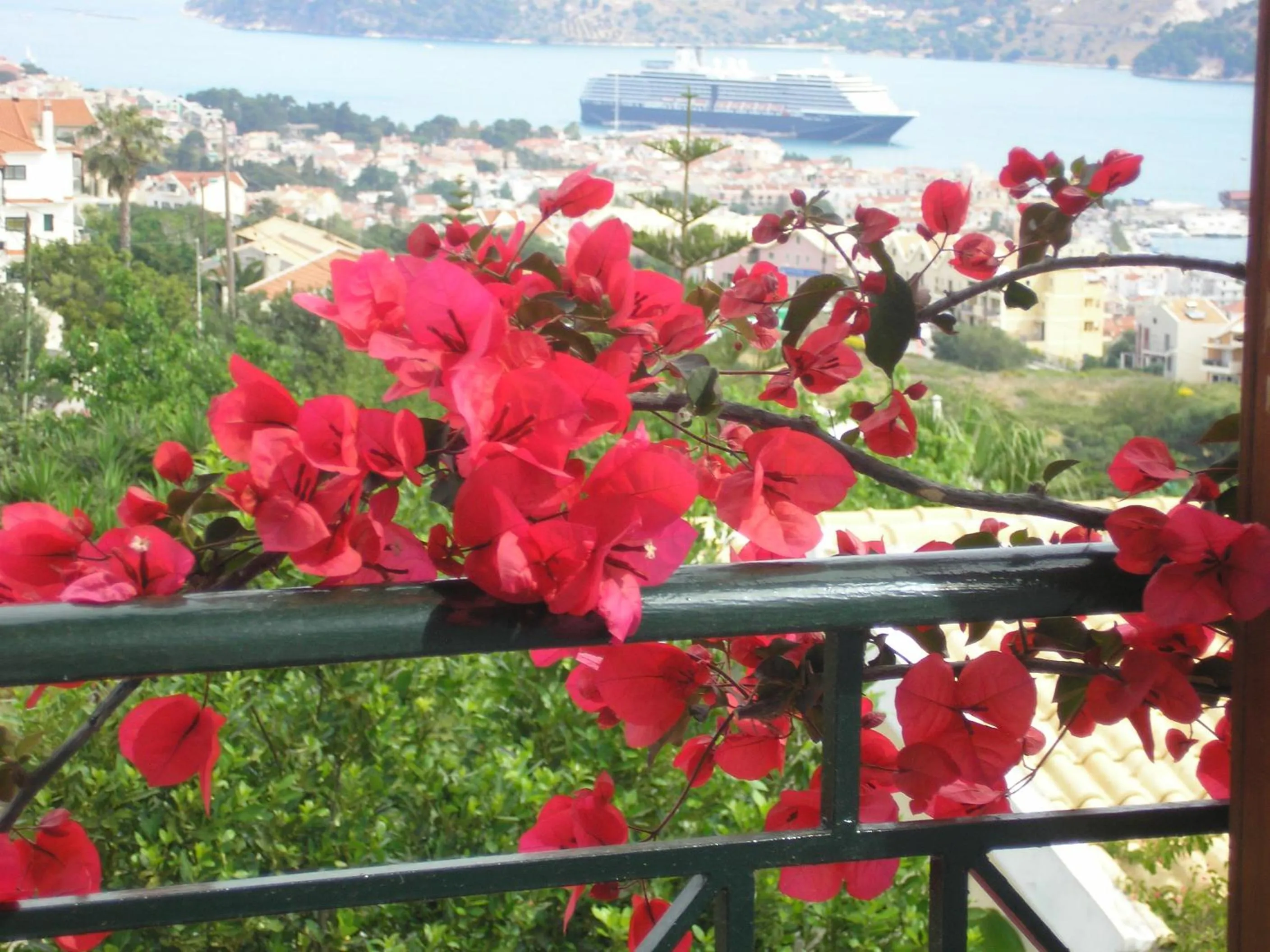 Garden in Studios Rania - Rania Studios & Apartments