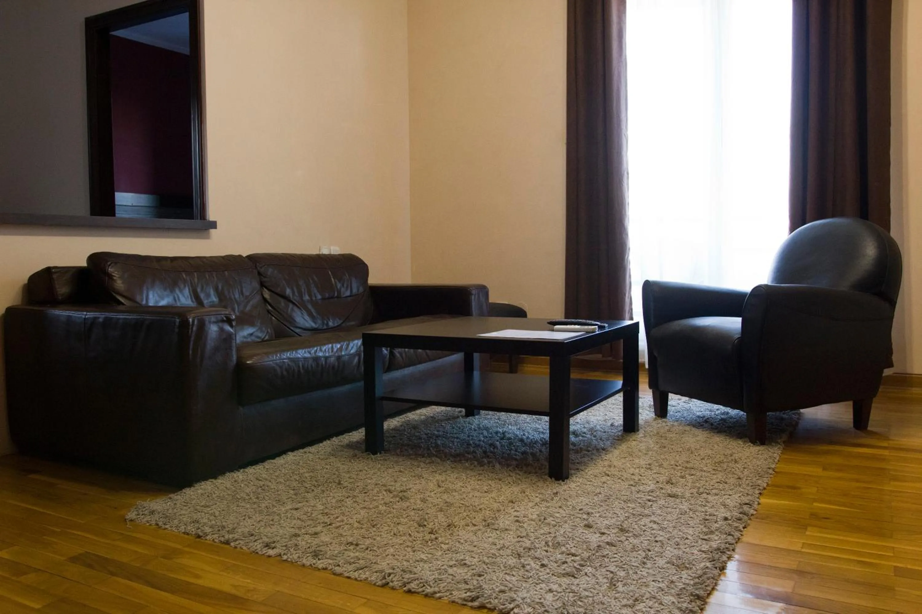 Living room in Vila Senjak