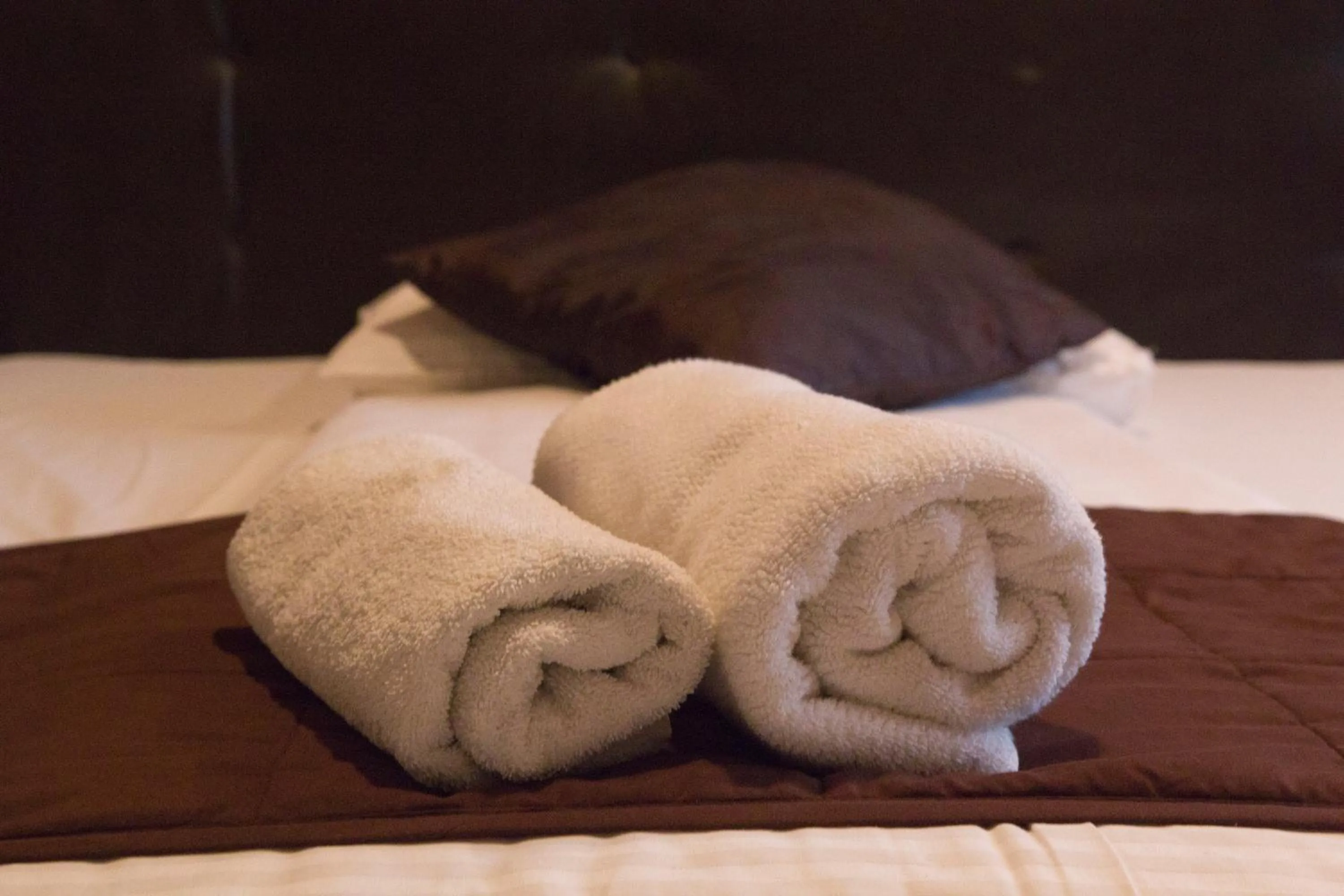 Decorative detail, Bed in Vila Senjak