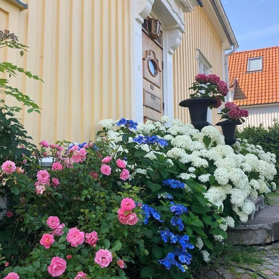 5:ans Bed & Breakfast