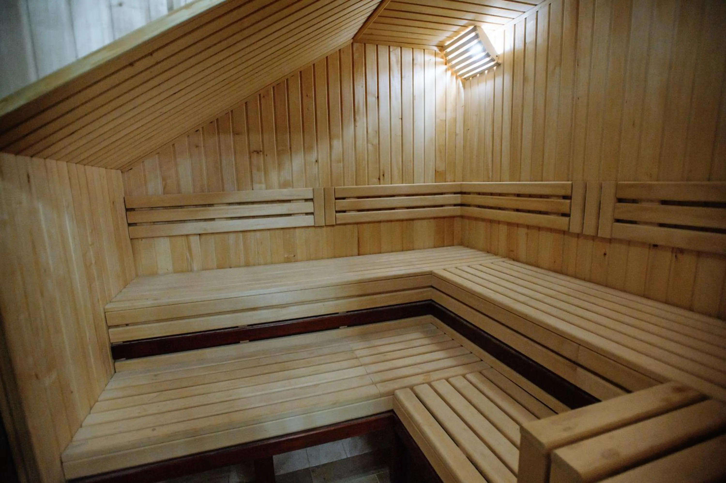 Sauna in Astoria