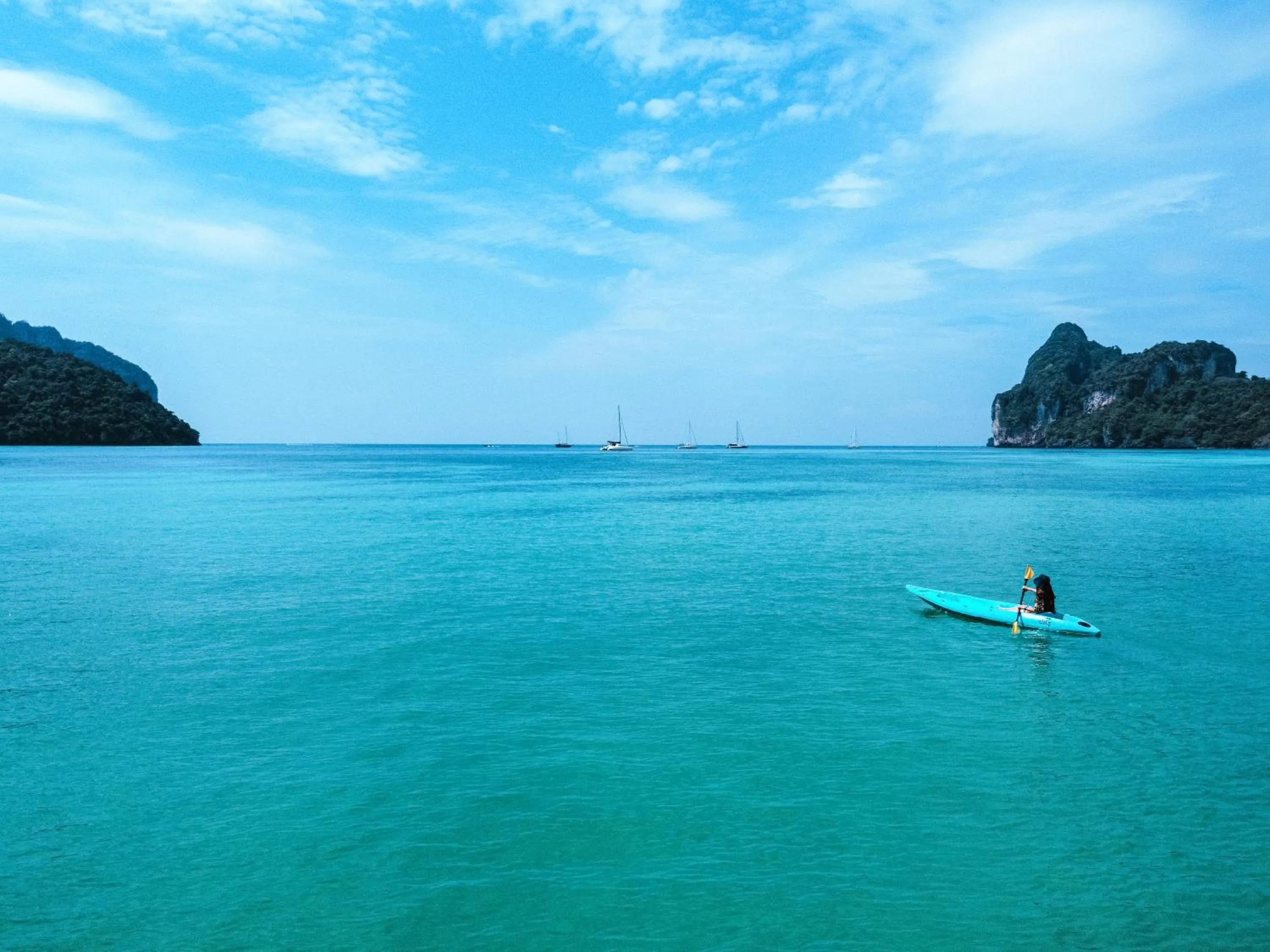 Natural landscape in Phi Phi Cozy Seafront Resort