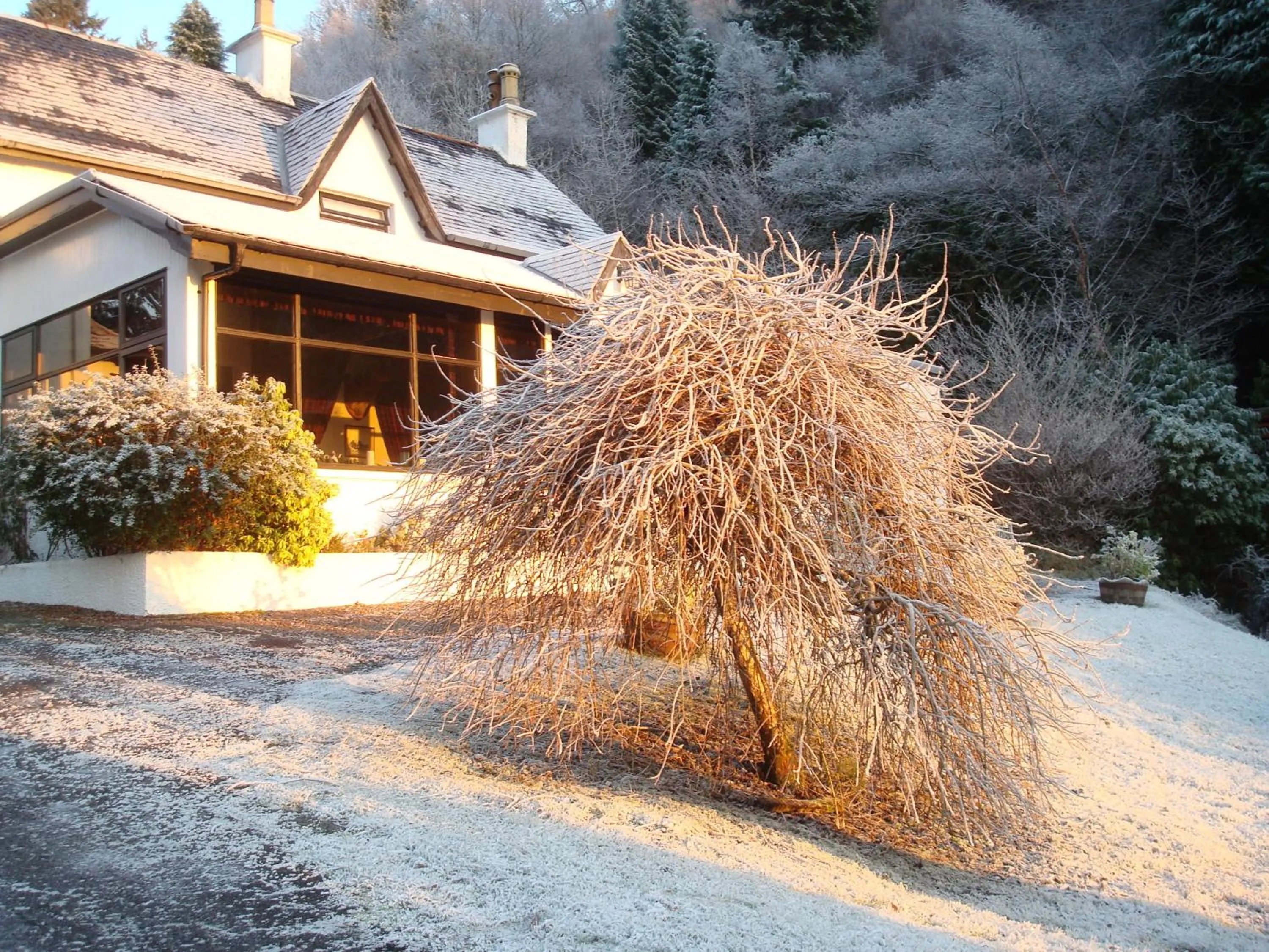 Natural landscape in Corriegour Lodge Hotel