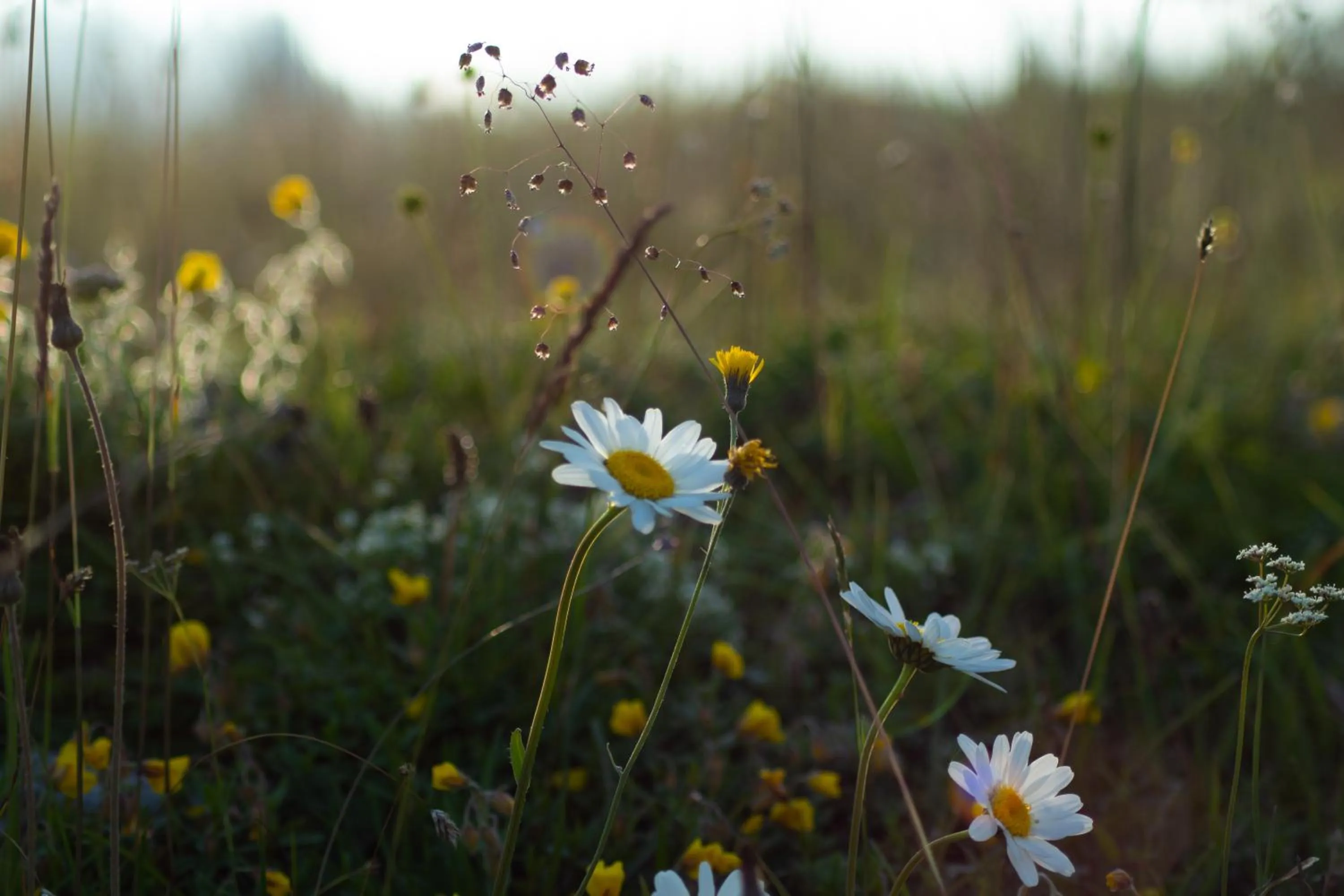 Spring in Hotel Kube