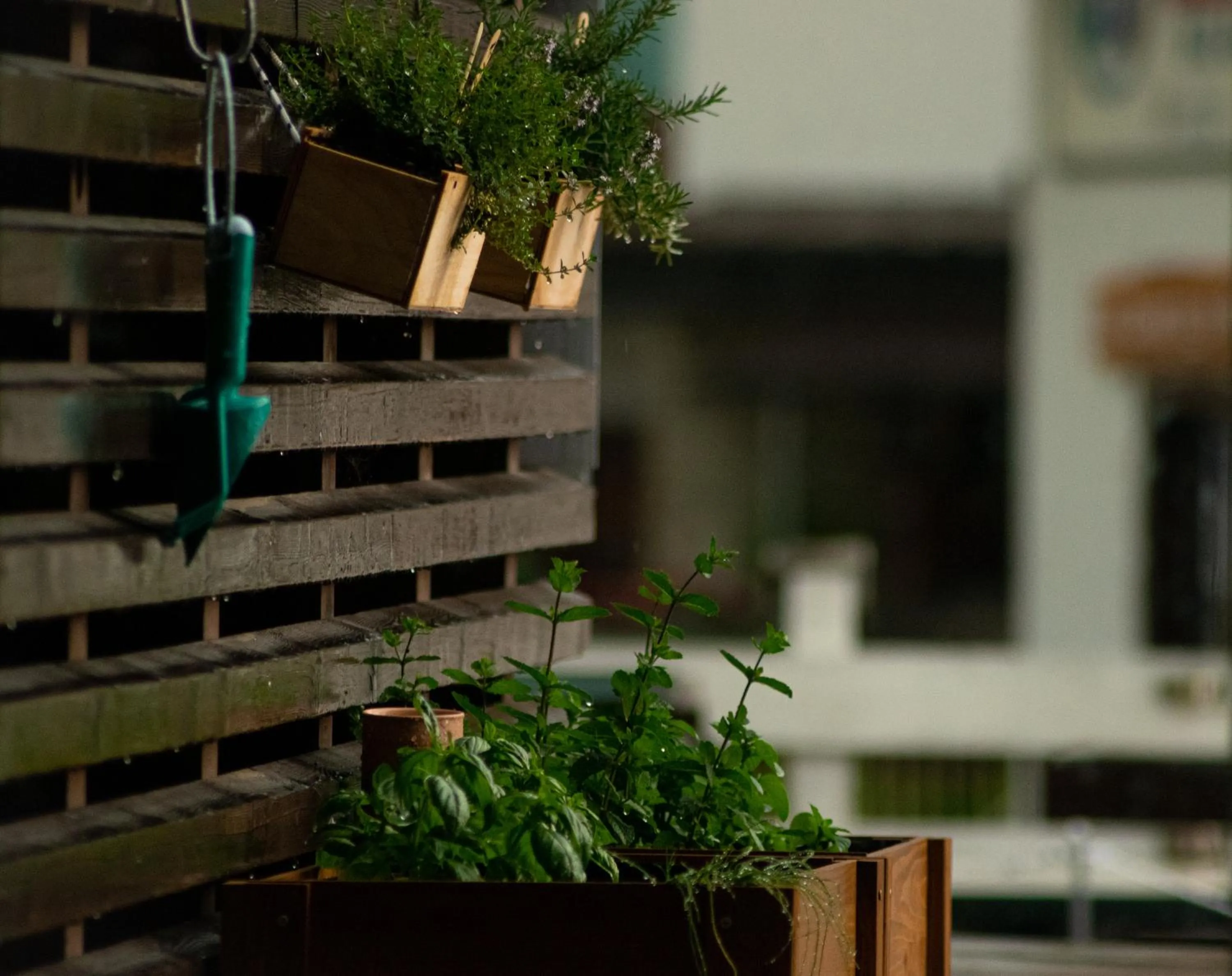 Property building in Hotel Kube