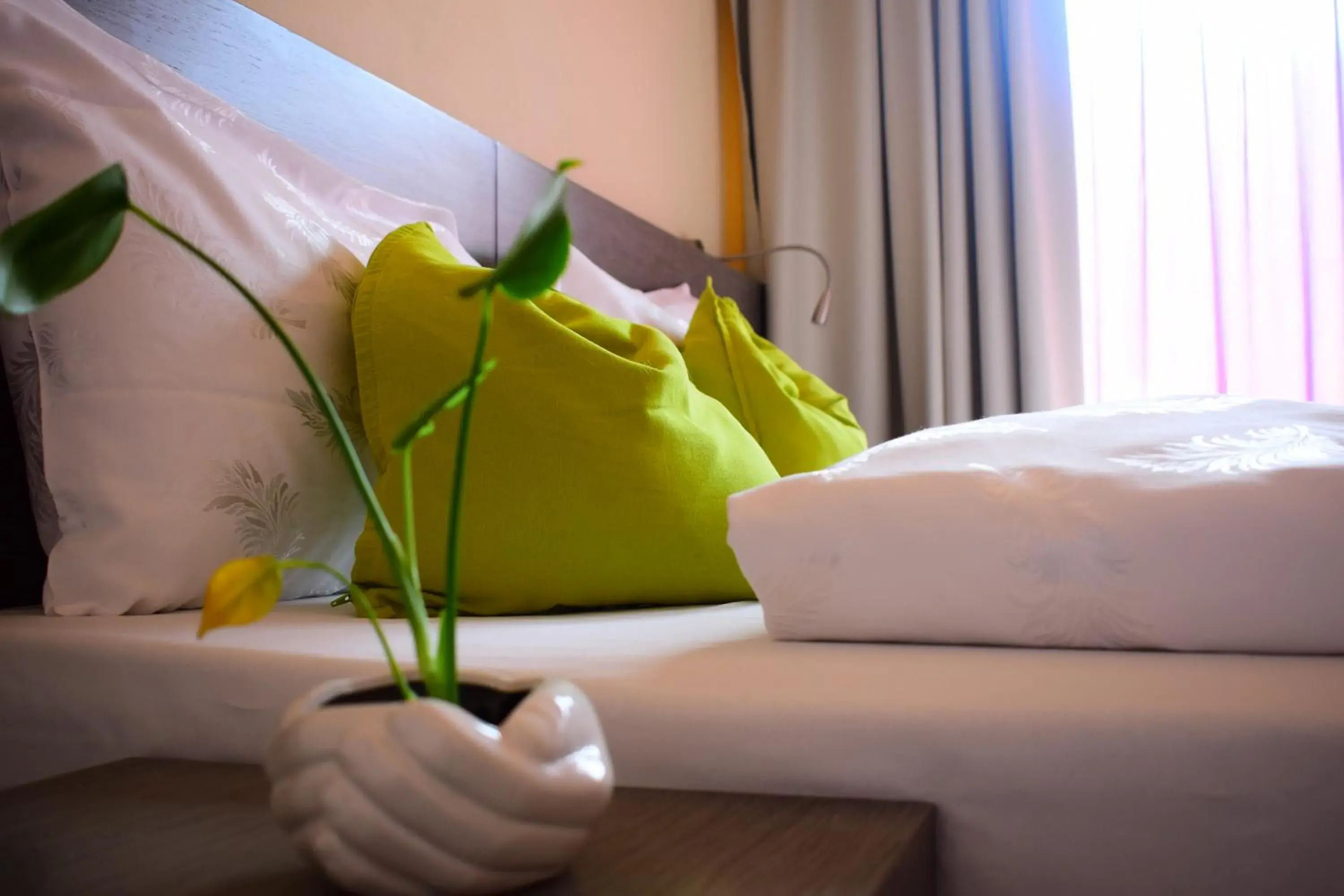 Double Room in Hotel Kube Double Room in Hotel Kube