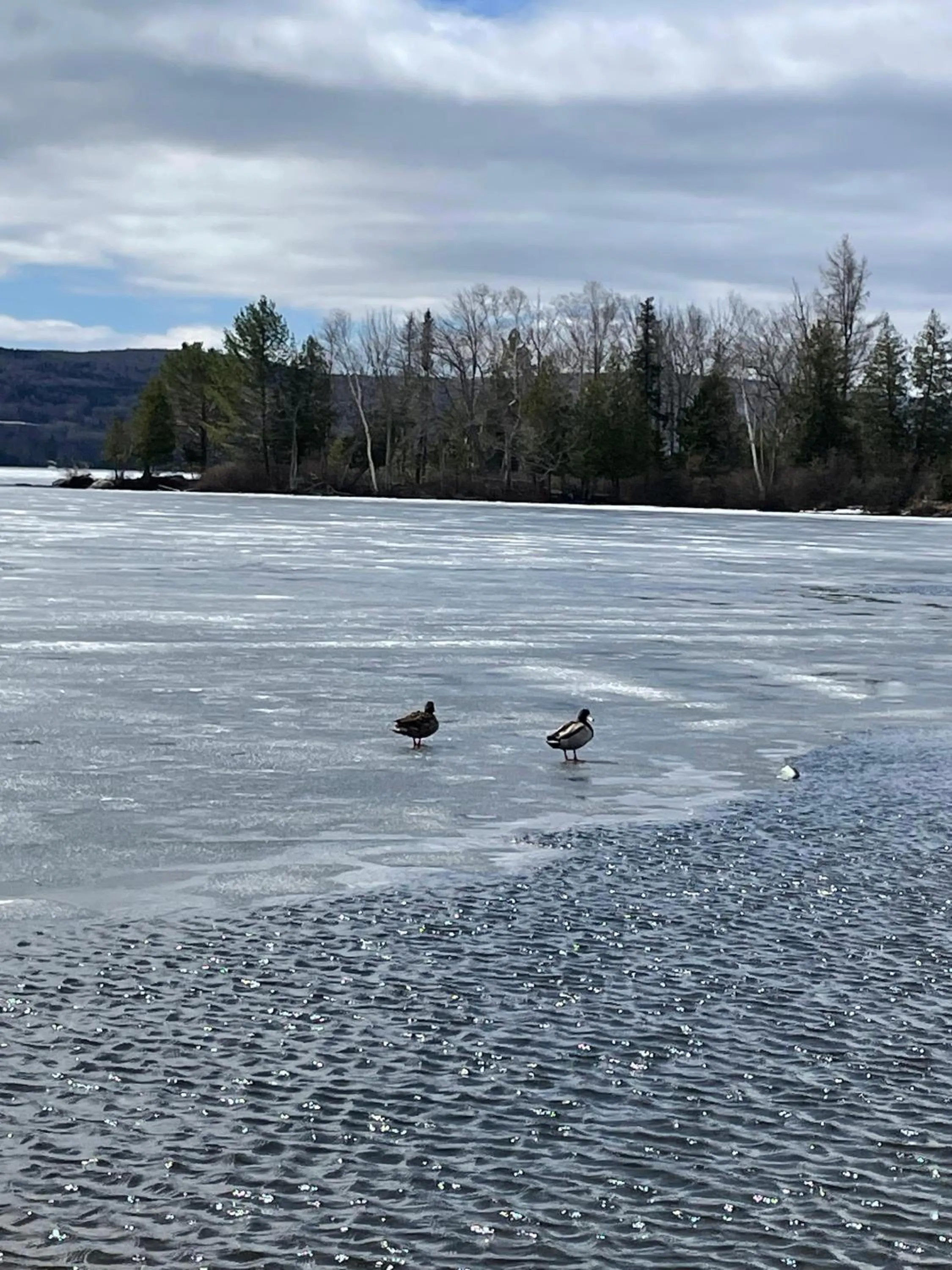 Rangeley Town & Lake