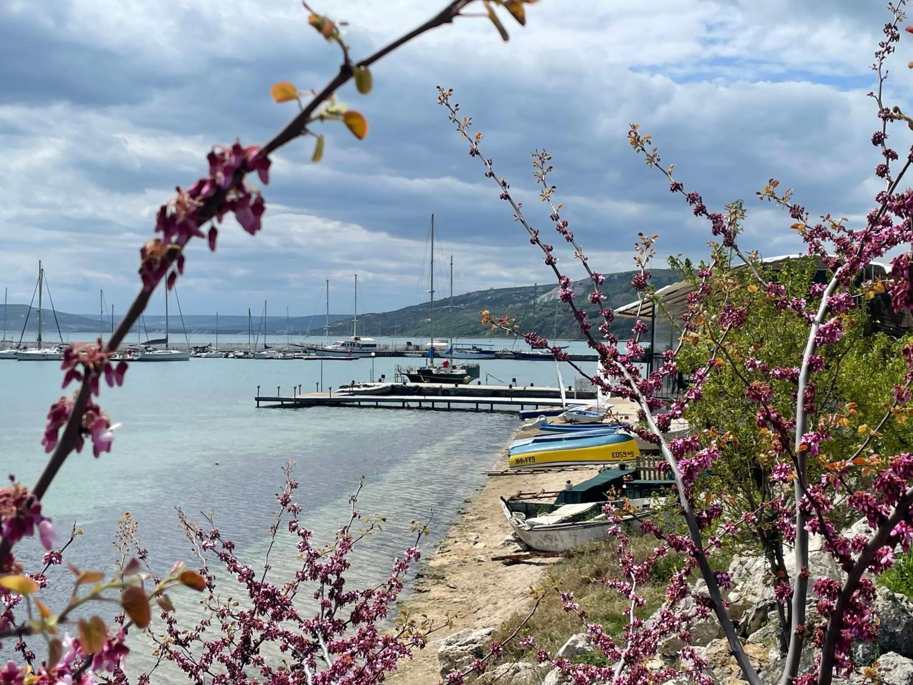 Spring in Lotos Hotel