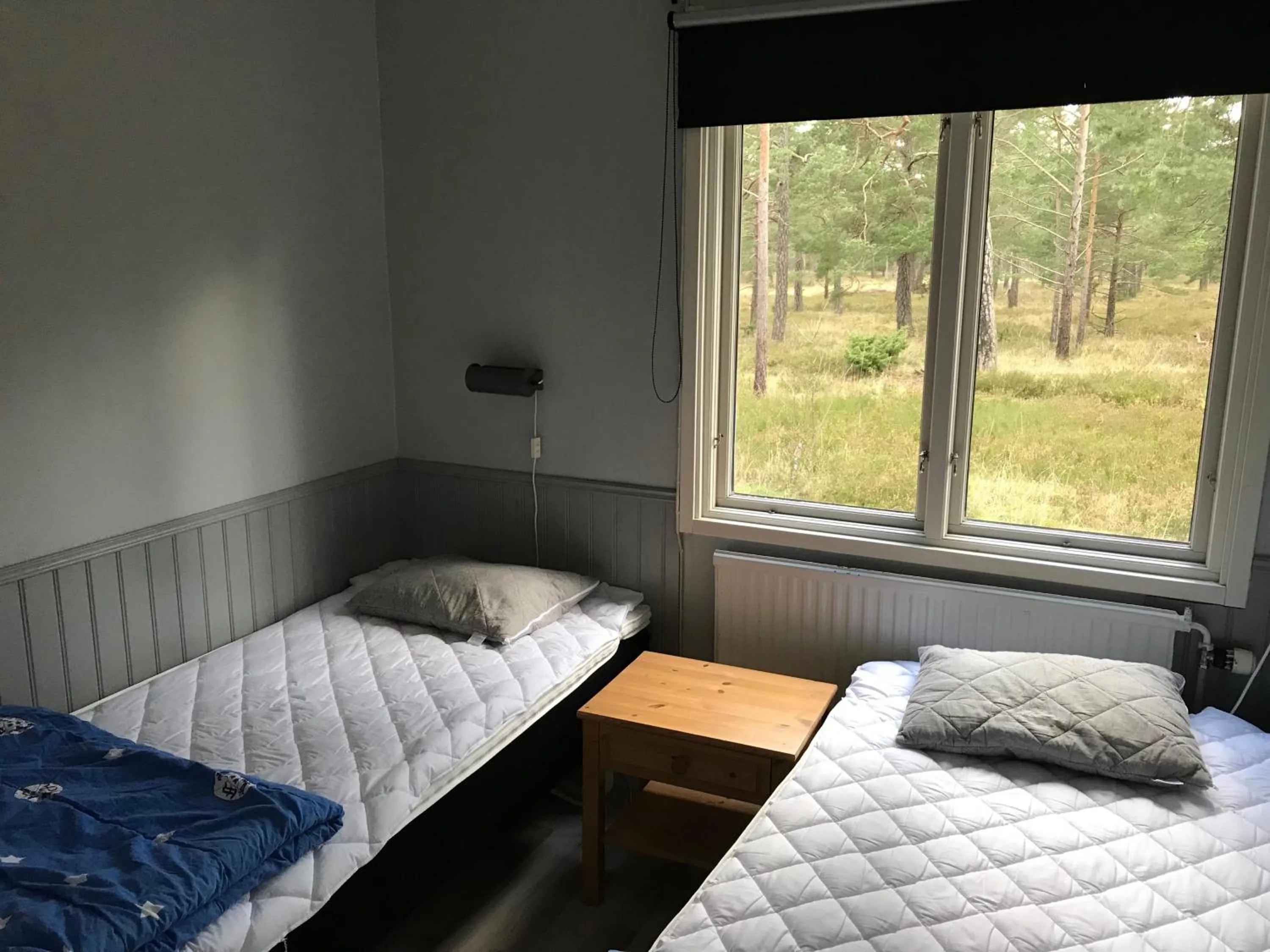 Photo of the whole room, Bed in STF Hostel Visby/Rävhagen