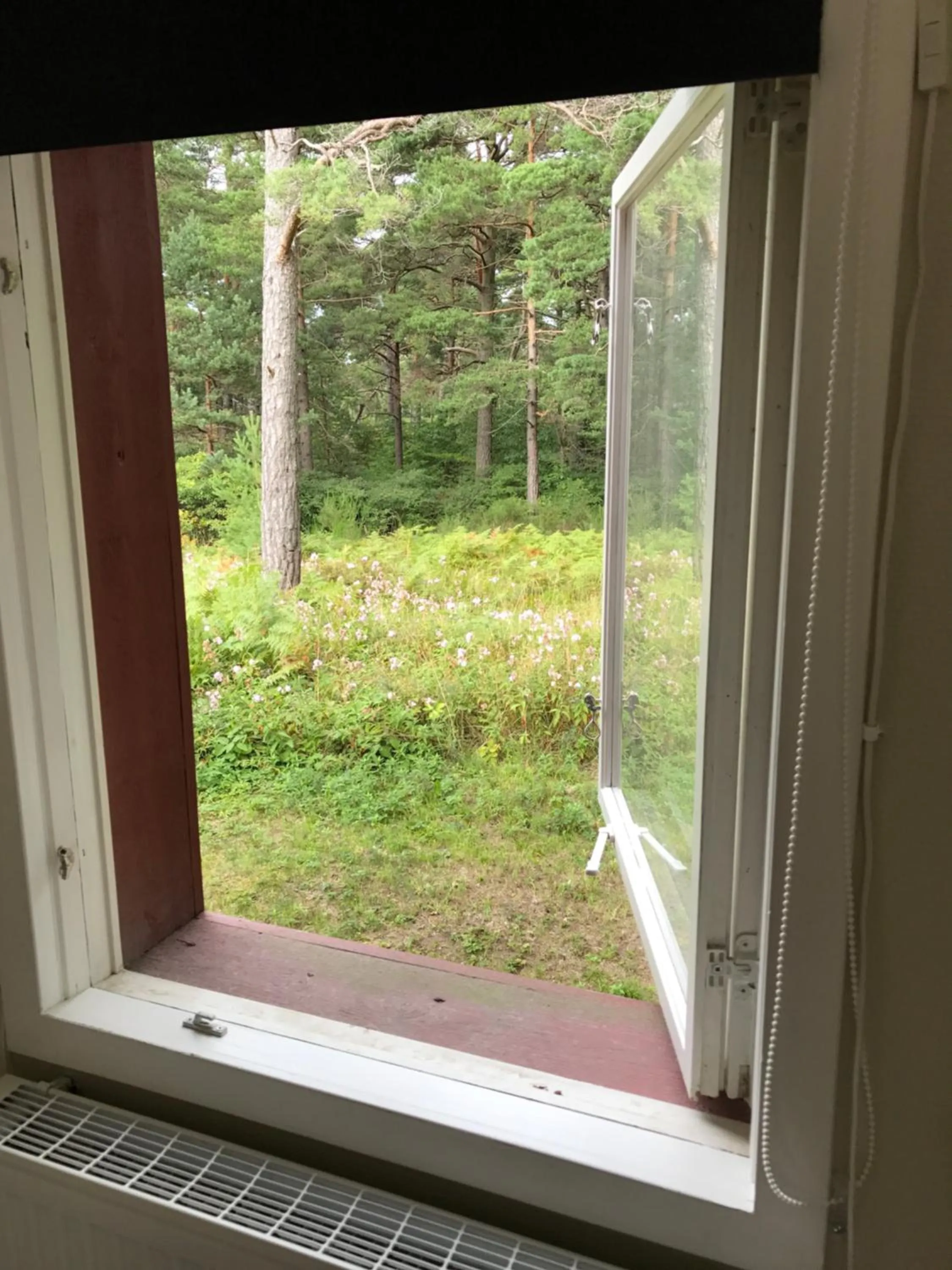 Garden view in STF Hostel Visby/Rävhagen