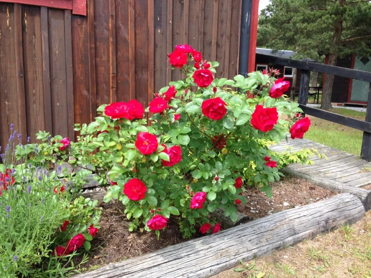 Decorative detail in STF Hostel Visby/Rävhagen
