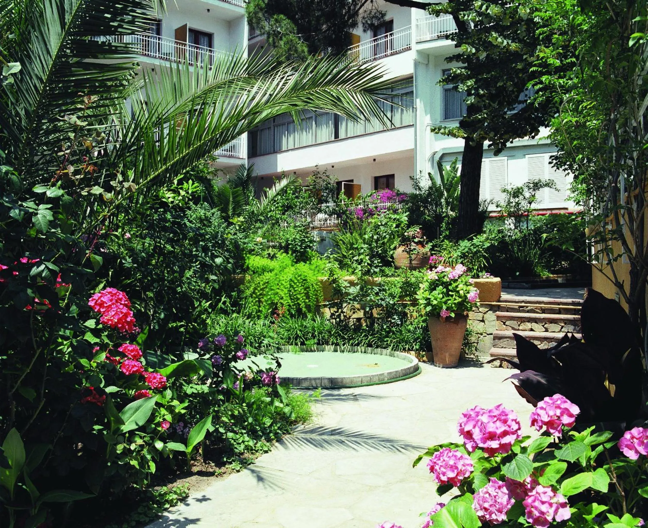 Decorative detail in Clipper Affiliated by FERGUS "Youth Recommended"