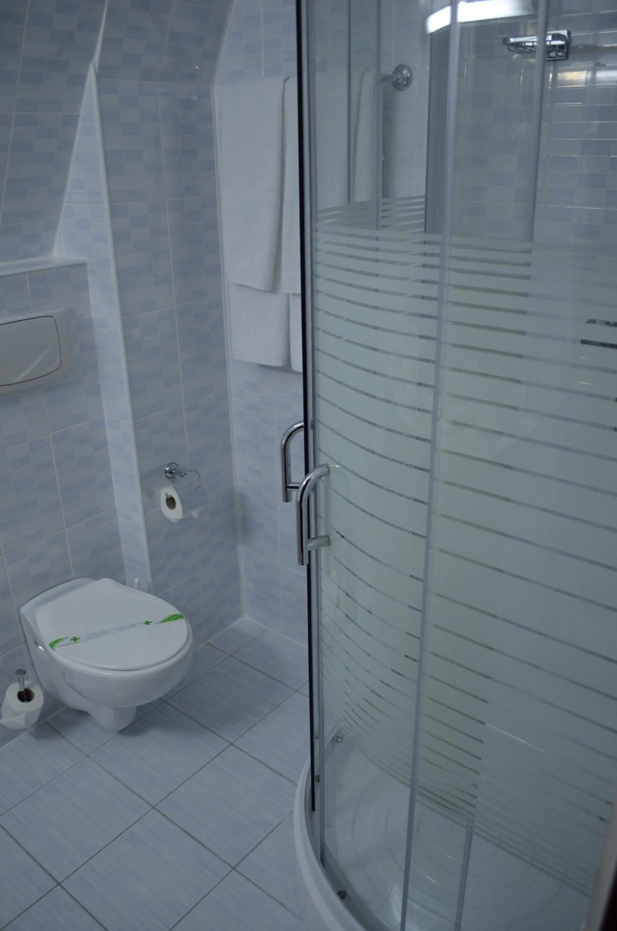 Shower in Hotel Rusu