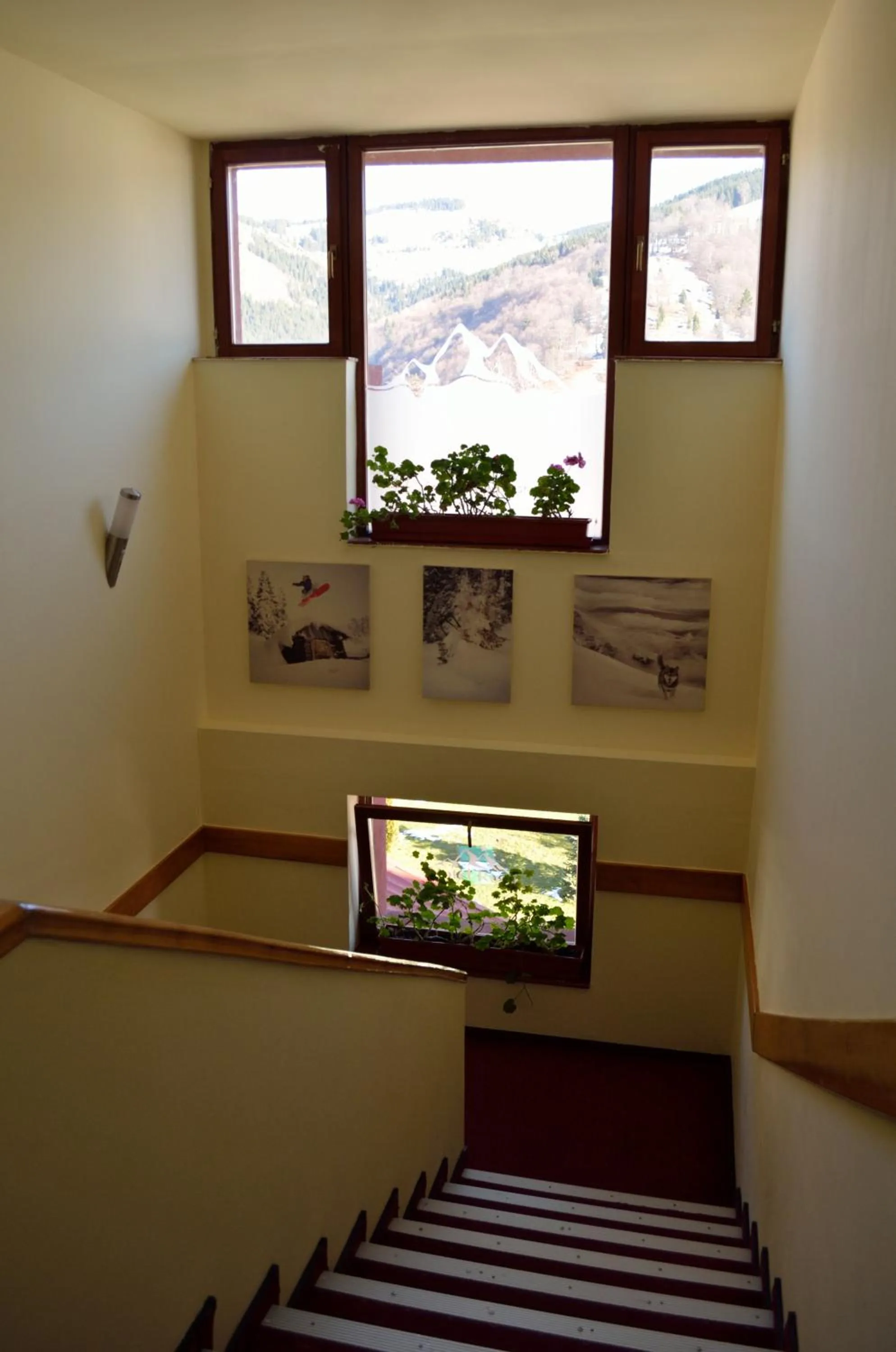 Floor plan in Hotel Rusu