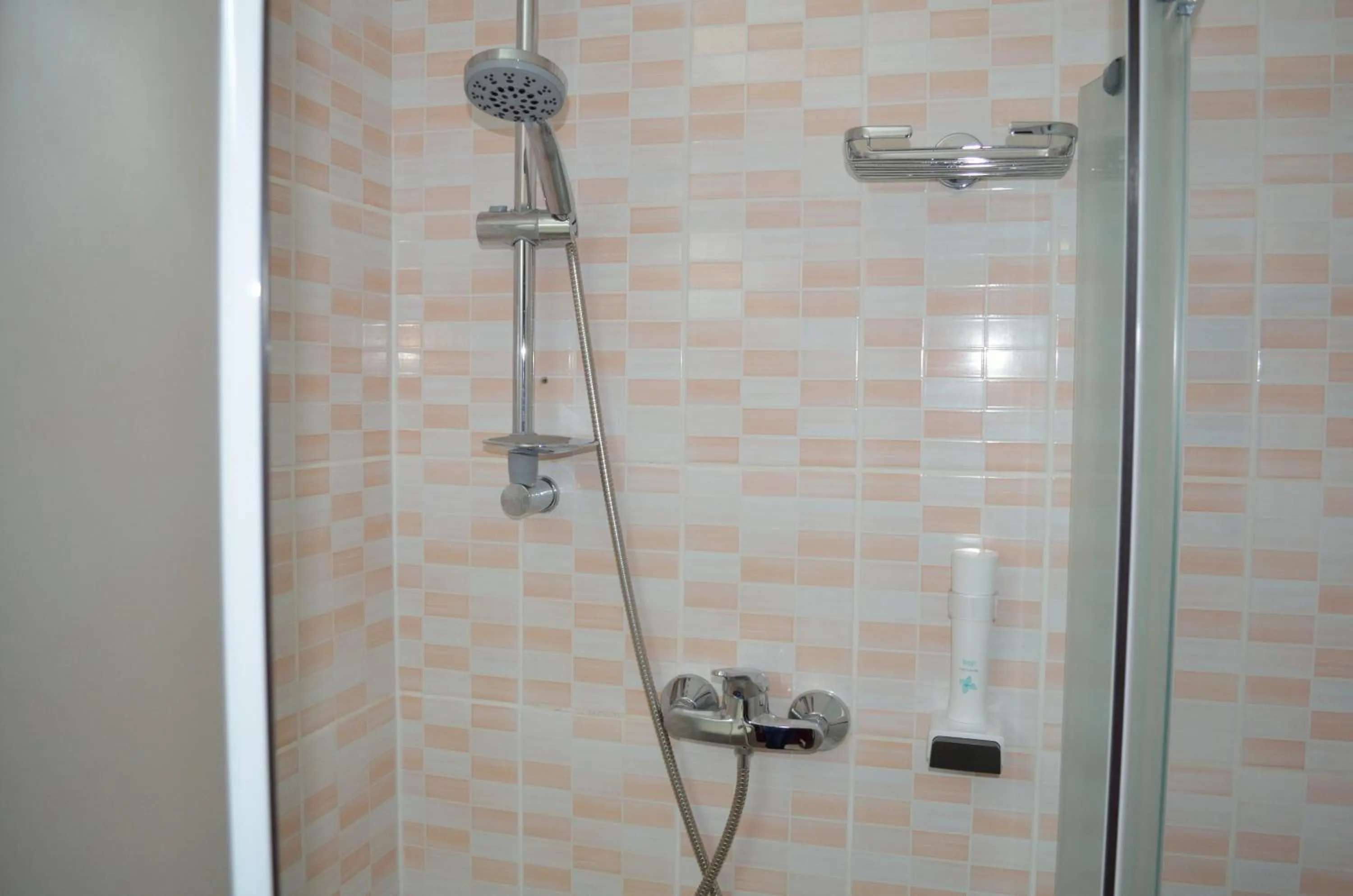 Shower in Hotel Rusu