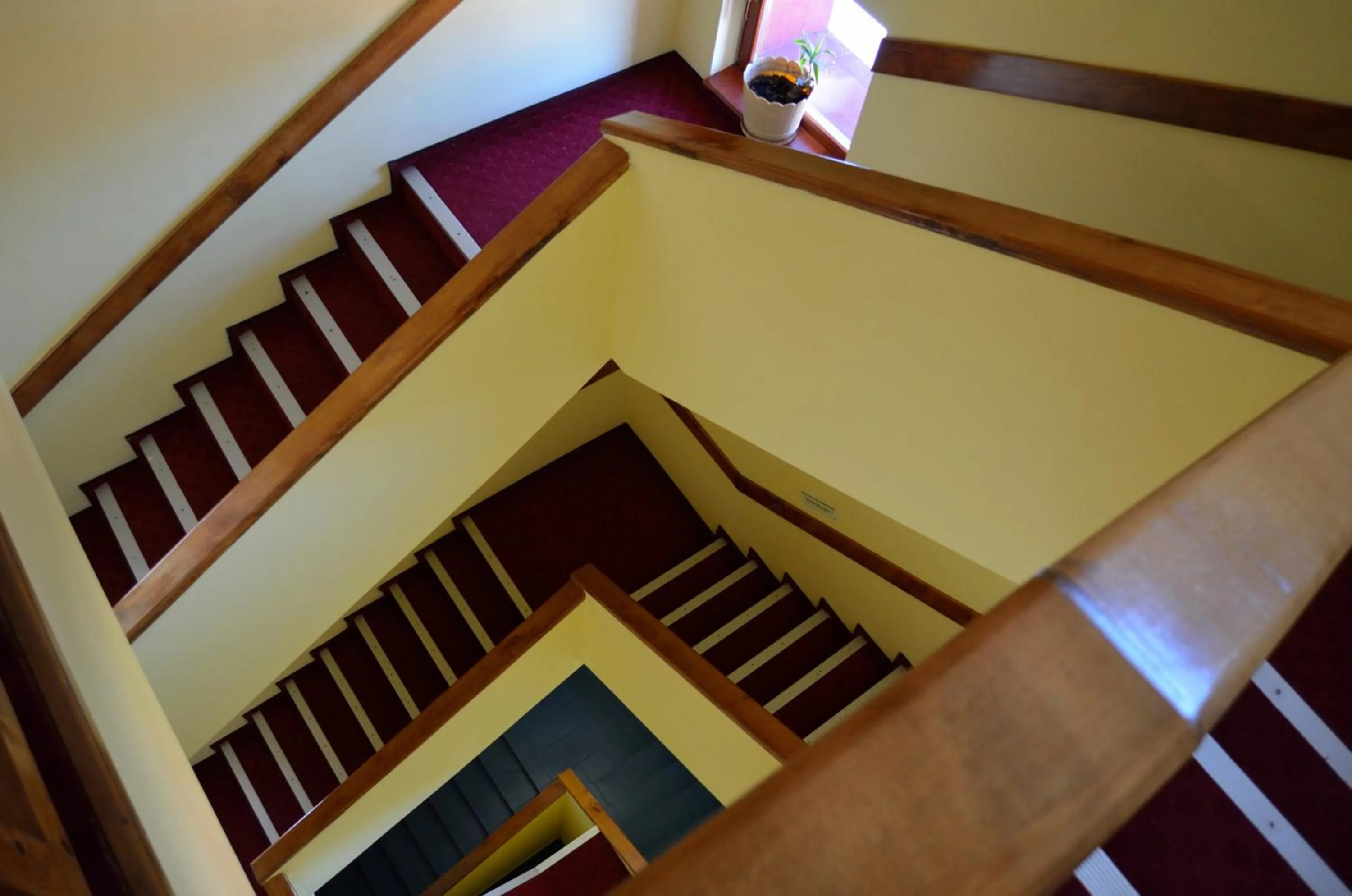 Bird's eye view in Hotel Rusu