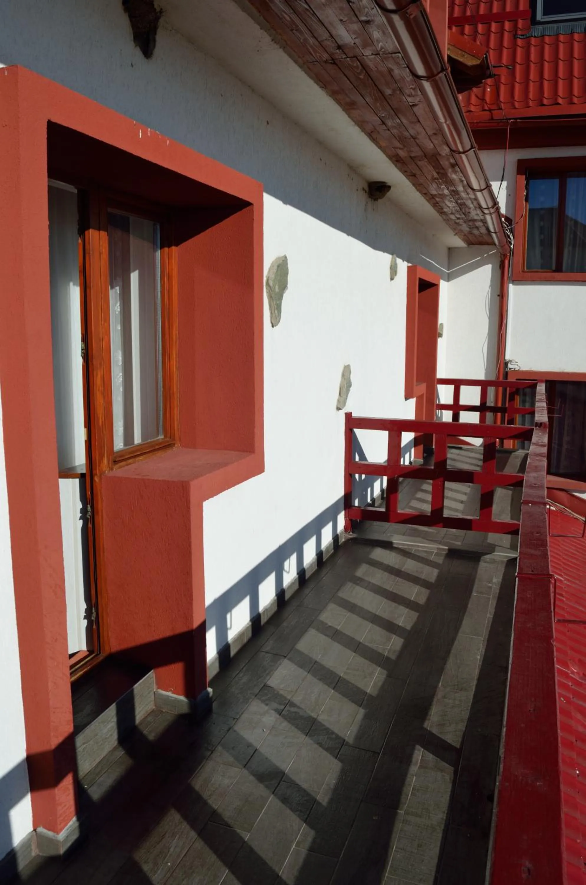 Balcony/Terrace in Hotel Rusu