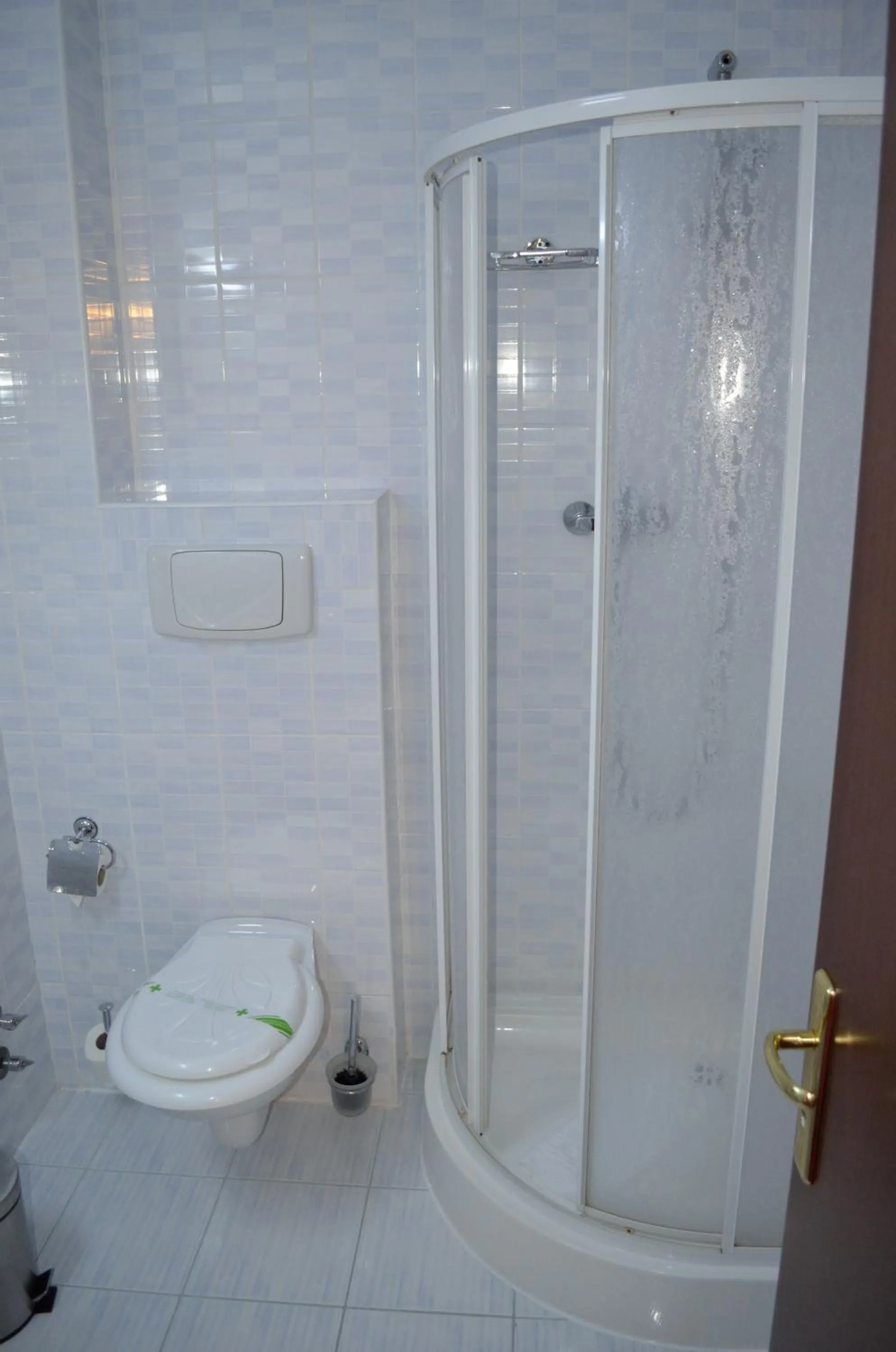Shower in Hotel Rusu