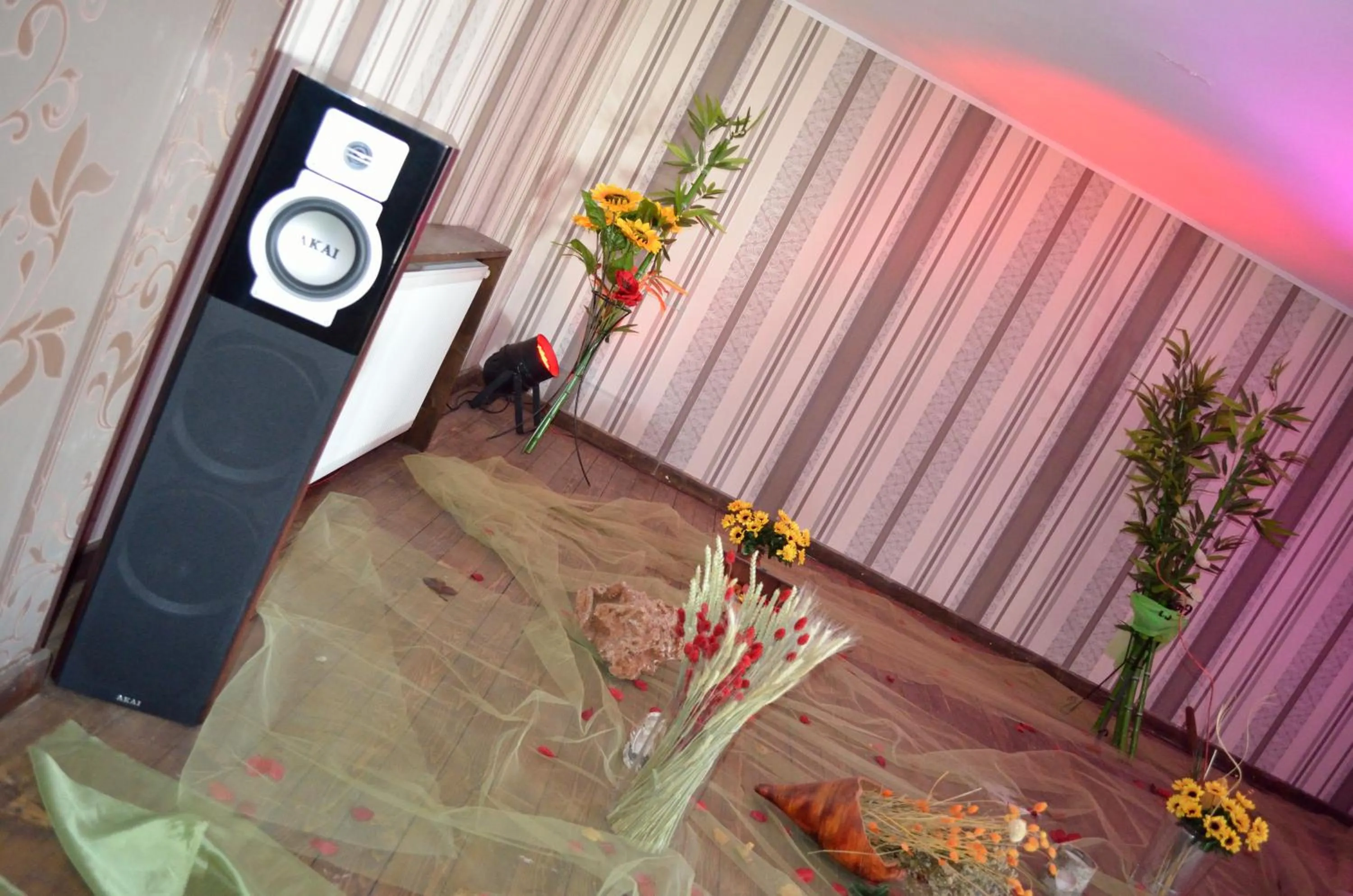 Banquet/Function facilities in Hotel Rusu